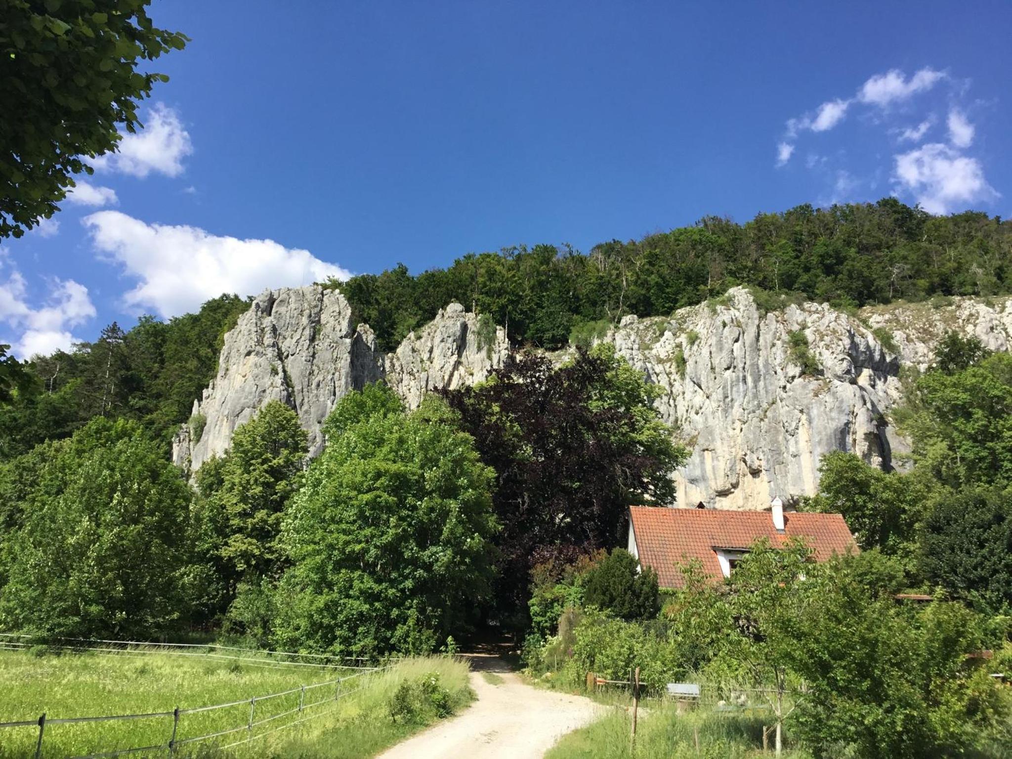 Photo 21