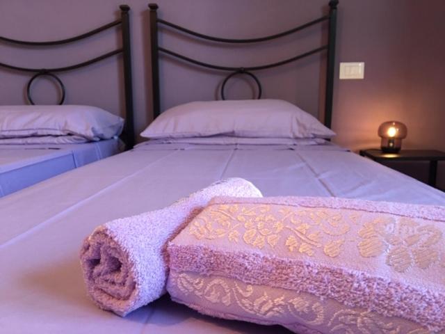 Le sorelle gemelle B&B