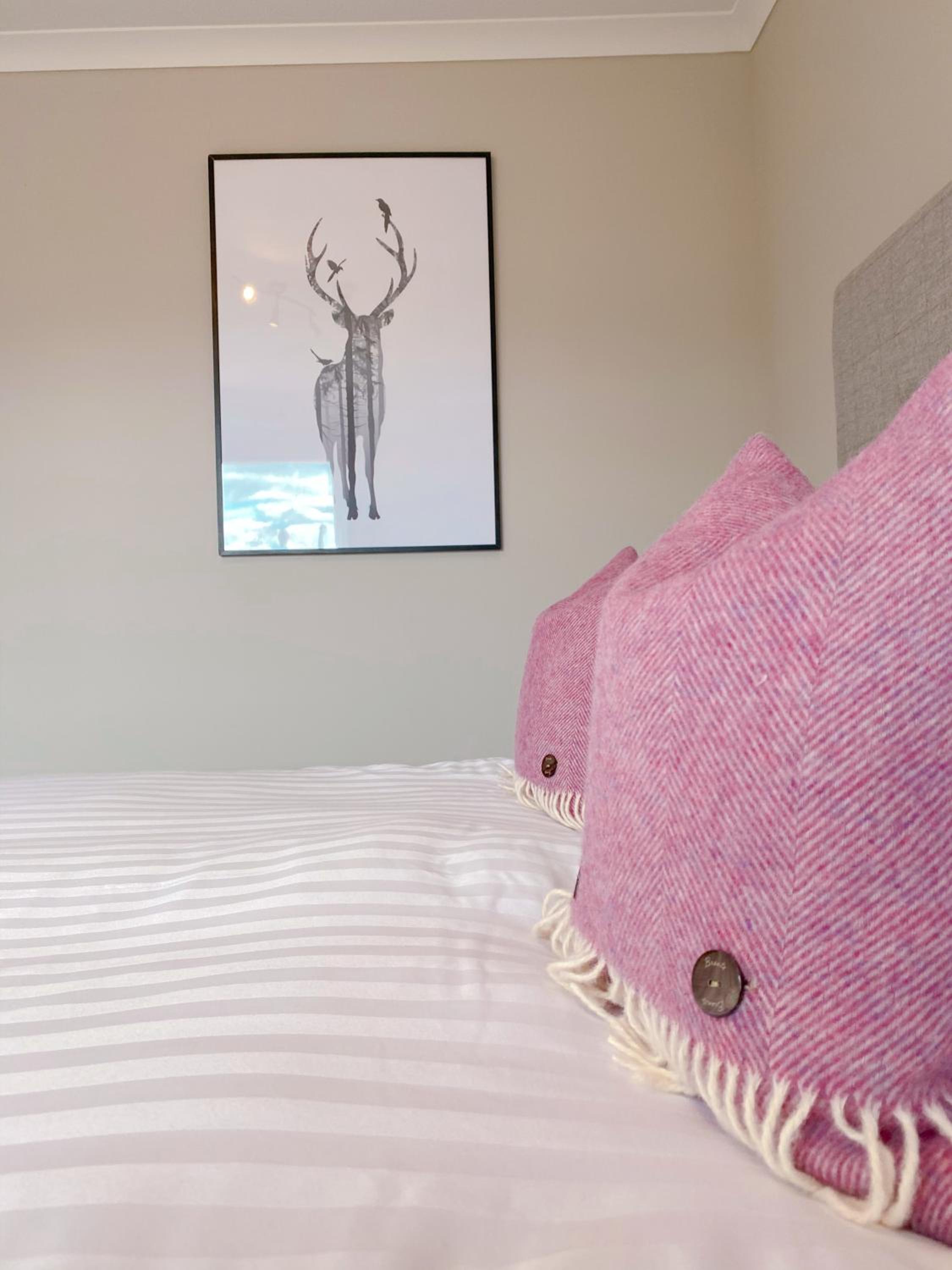 Cairngorm Guest House