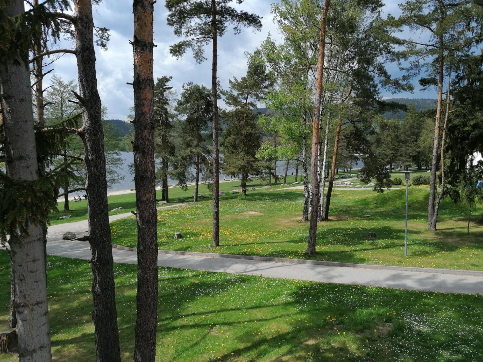 Apartment Riviera 503-7 Lipno Home