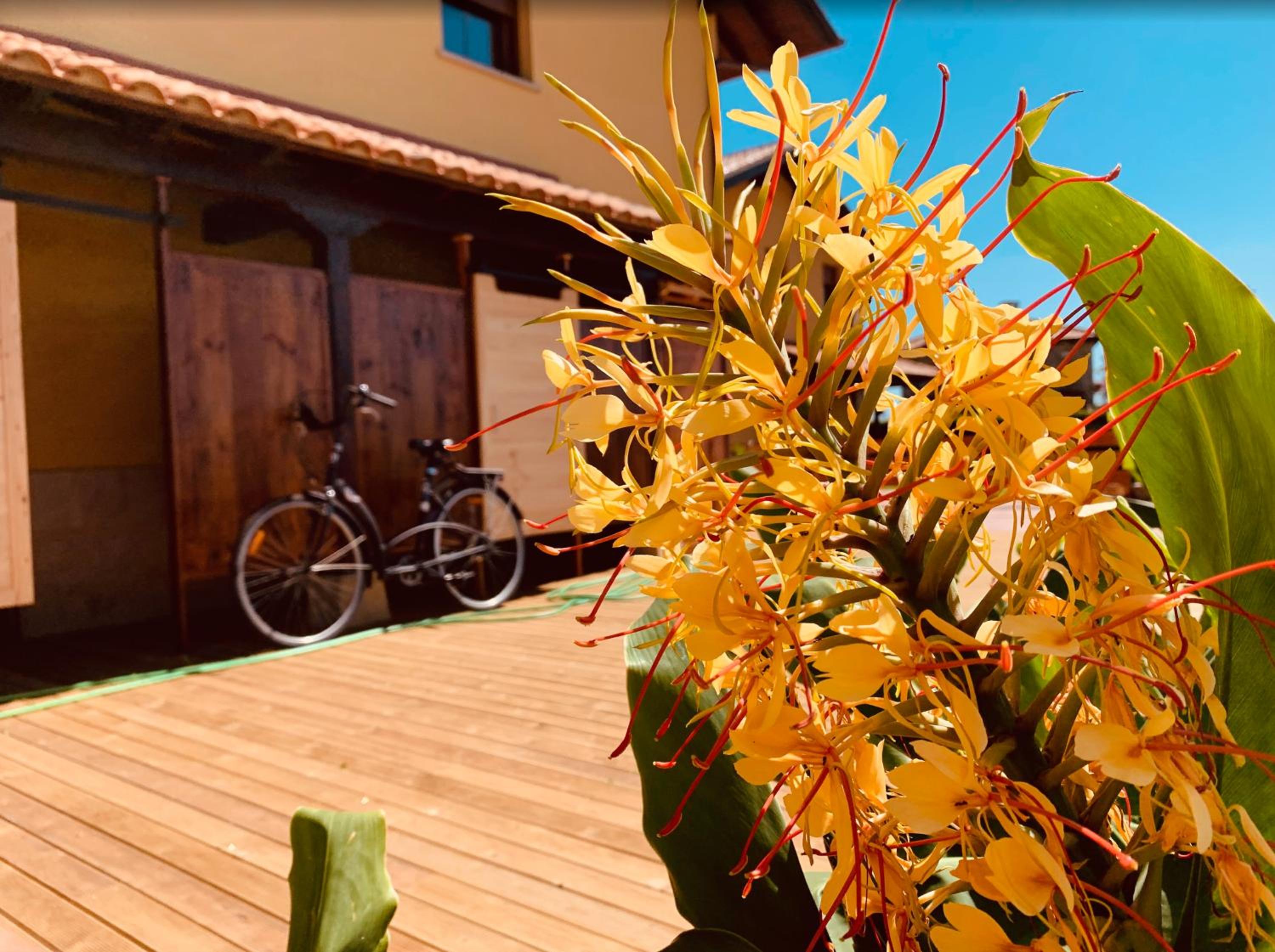 Las Casitas de Santillana