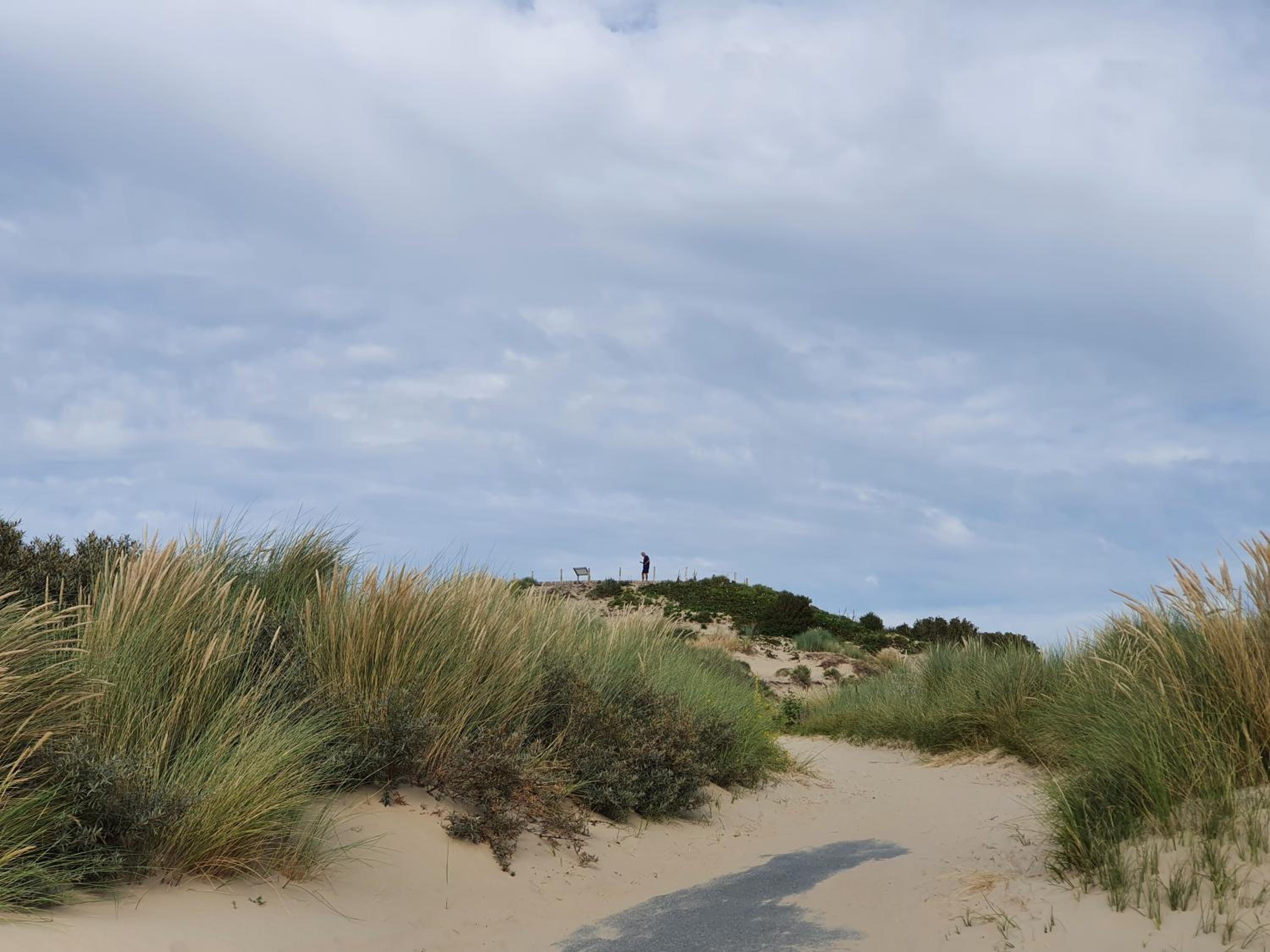 Photo 41