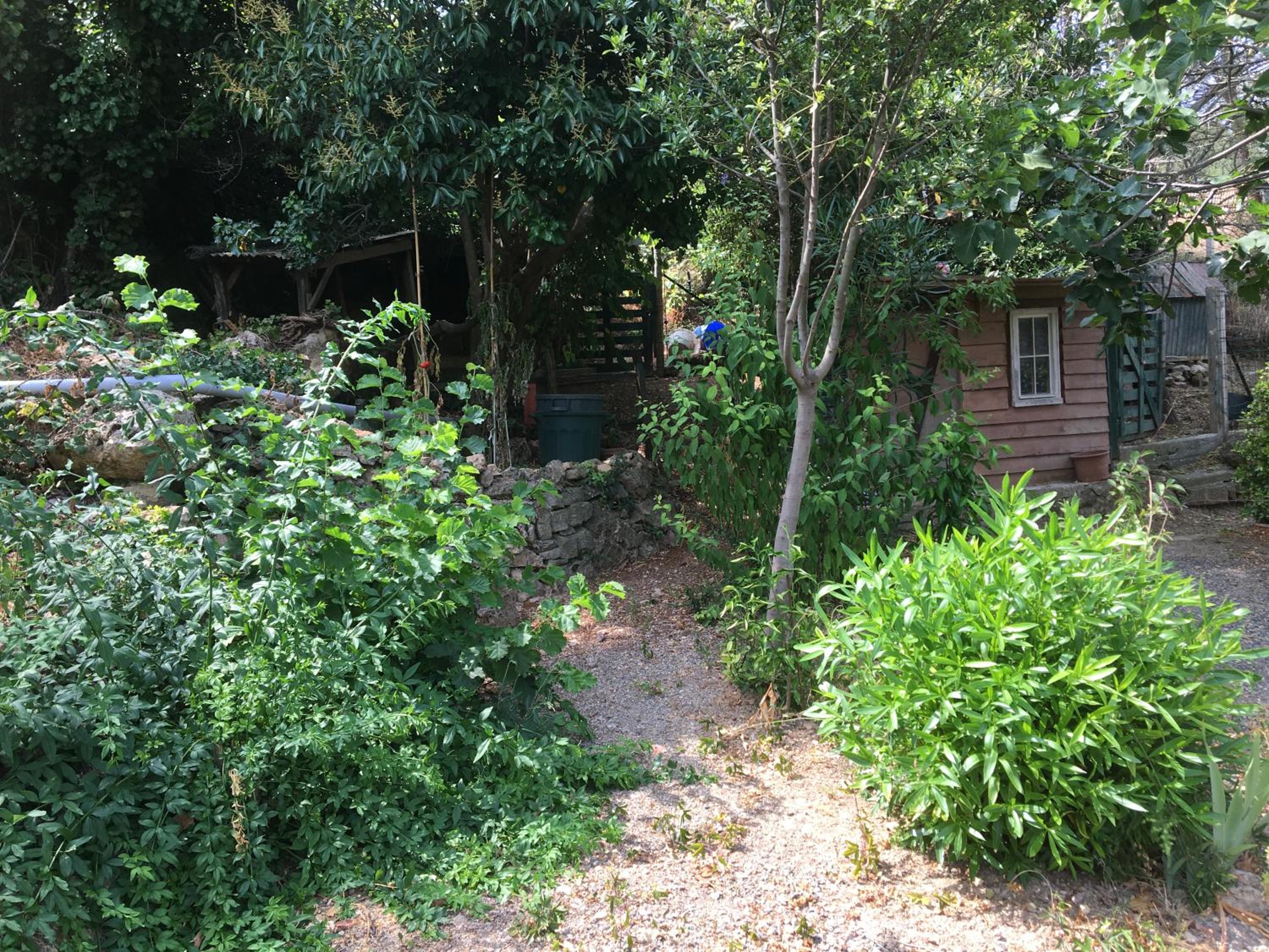 Photo 20