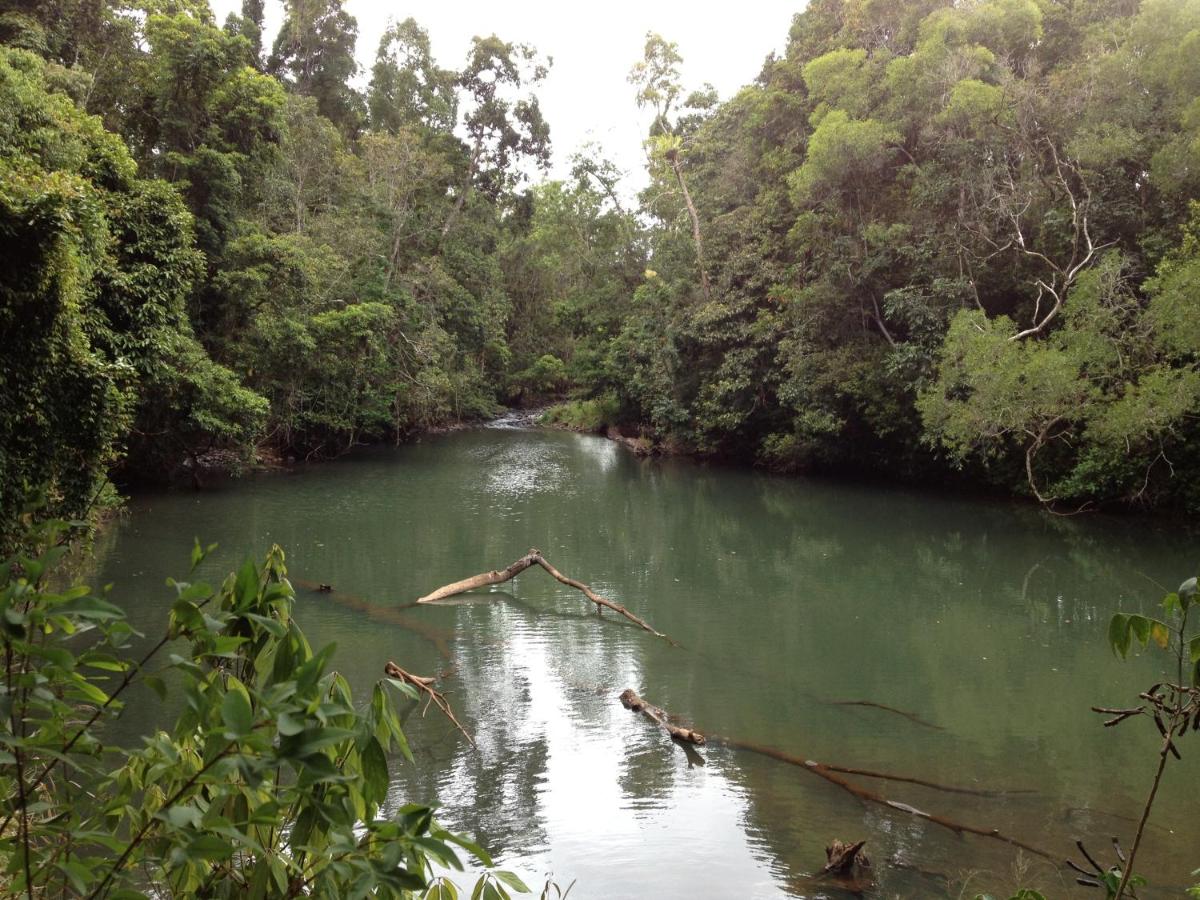 Figtree Getaway