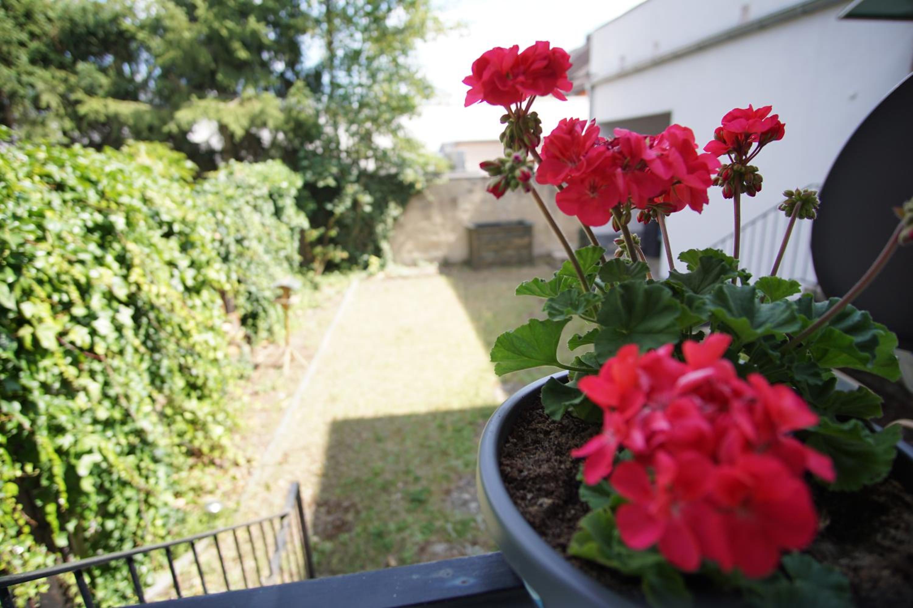 Ferienwohnung - Am Stadtgarten - Property Image 13