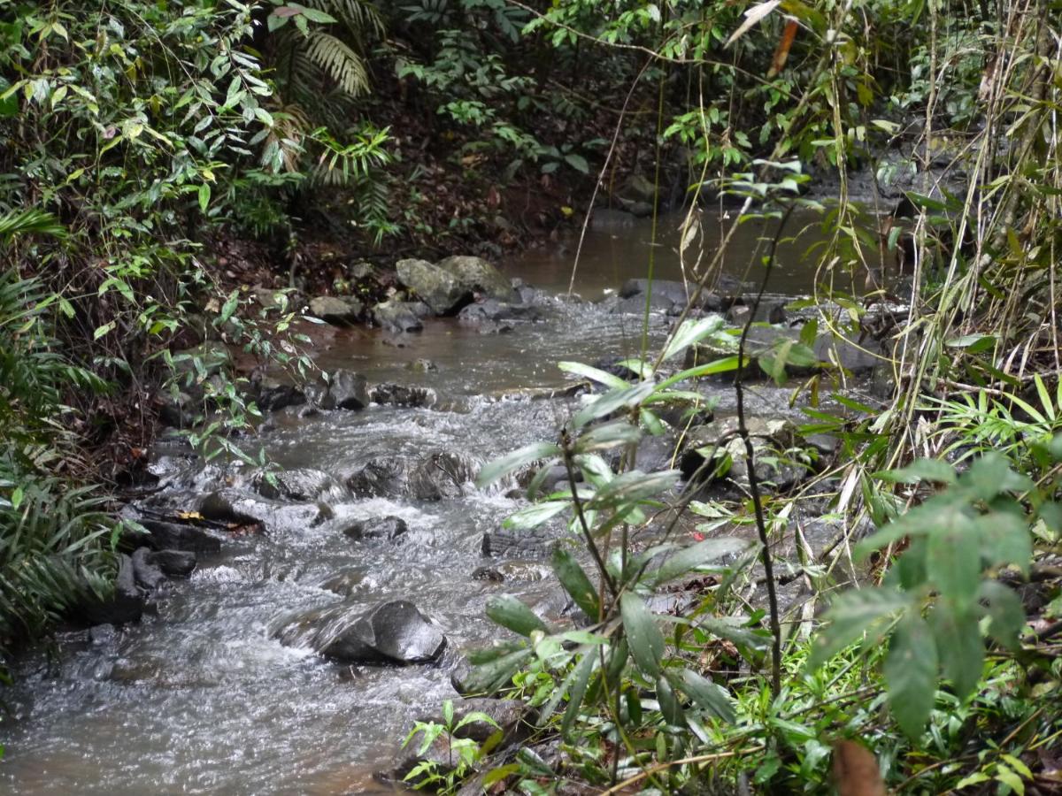 Figtree Getaway