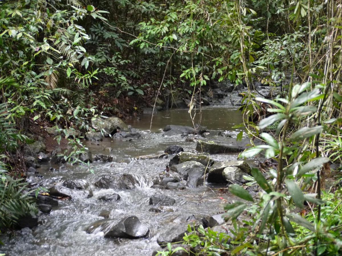 Figtree Getaway