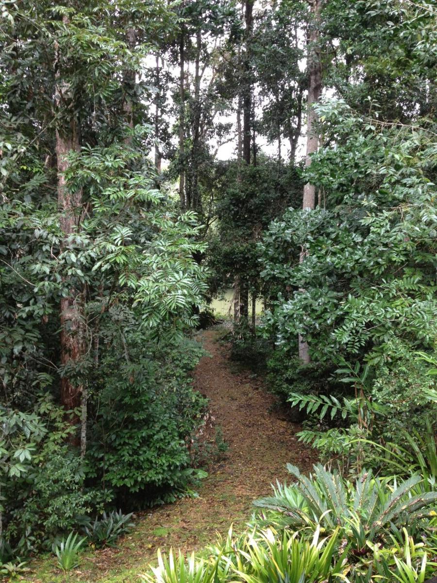 Figtree Getaway