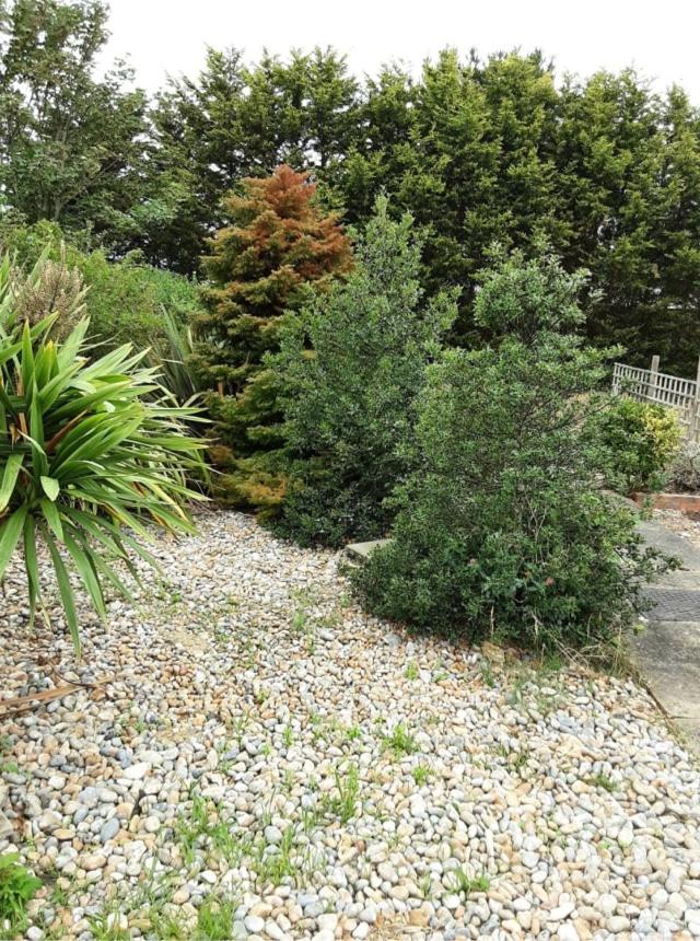 Photo 34