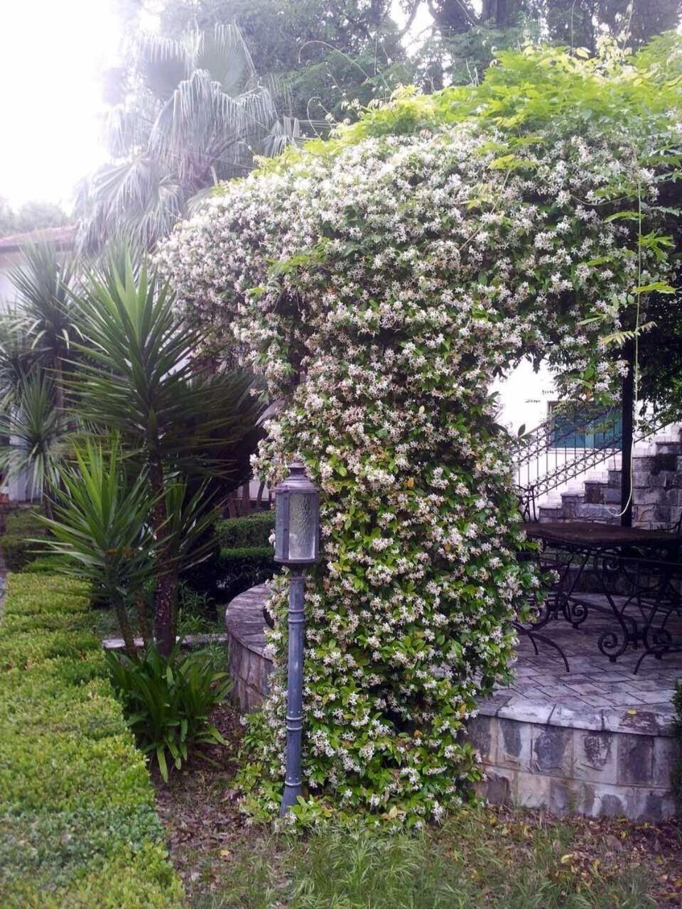 Villa Nautica view 3