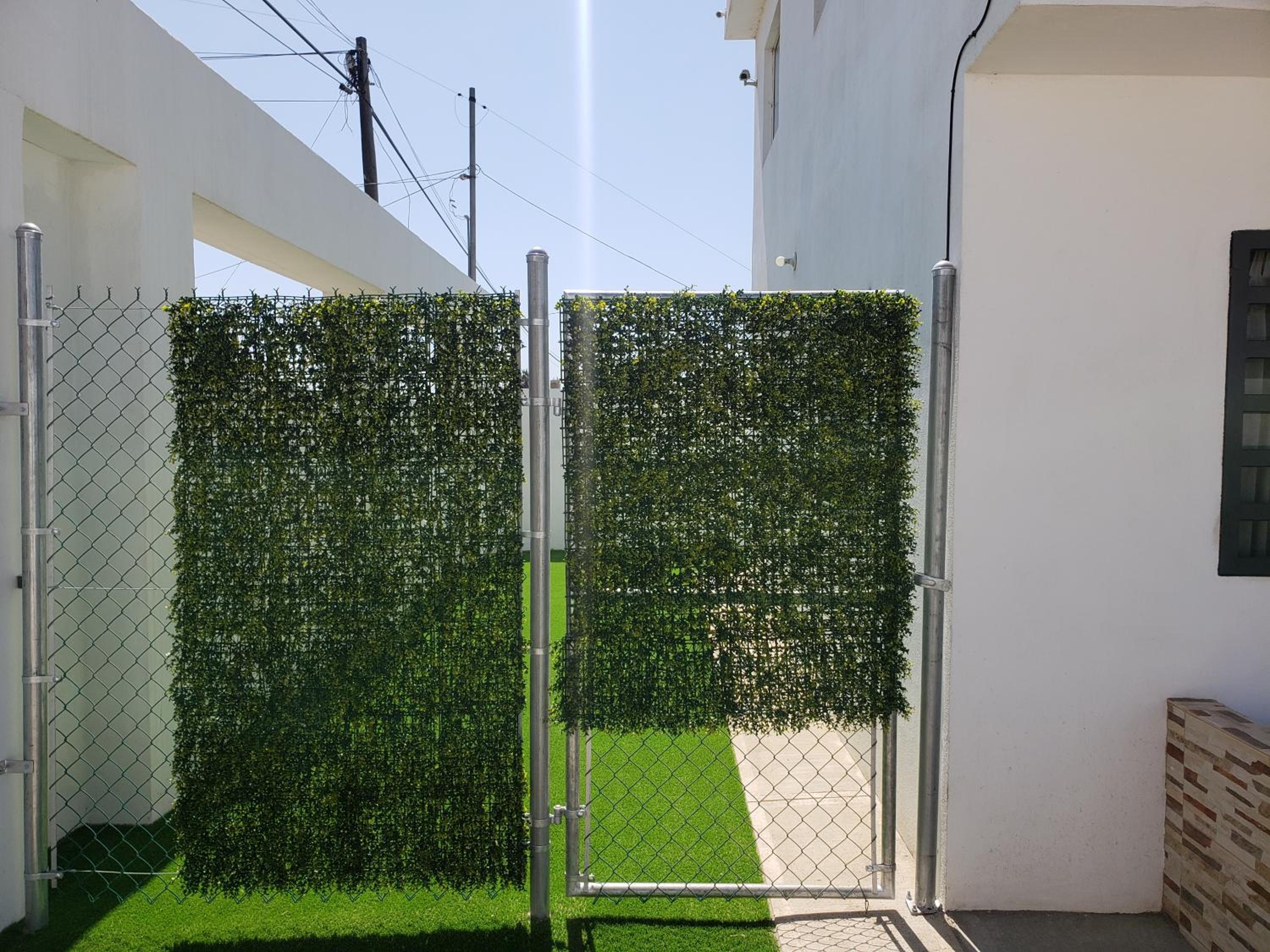 Photo 25