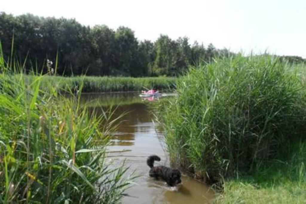 Photo 47