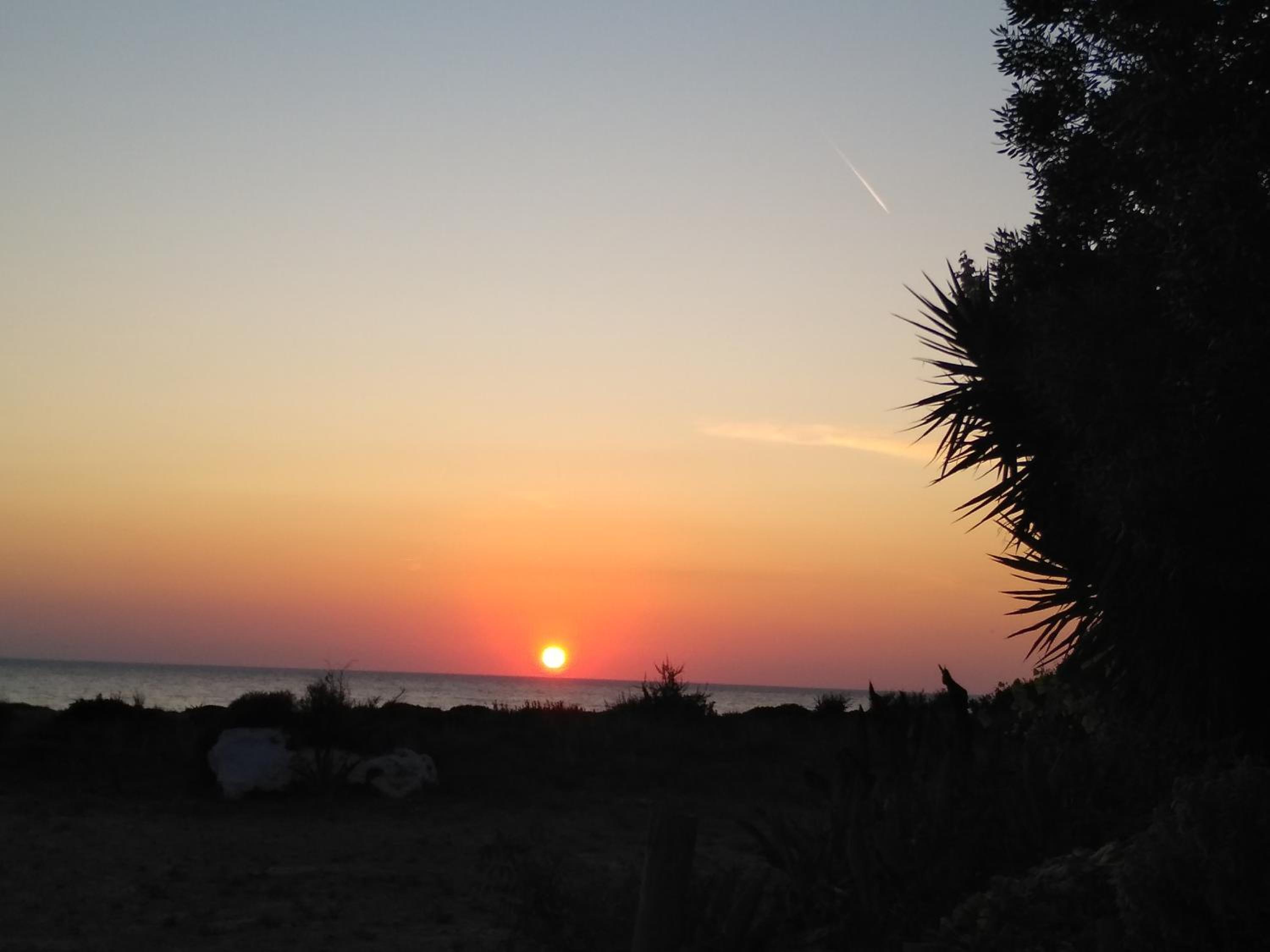 Vitoratos Studios photo 3