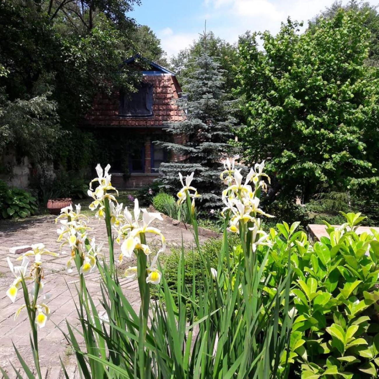 Photo 18