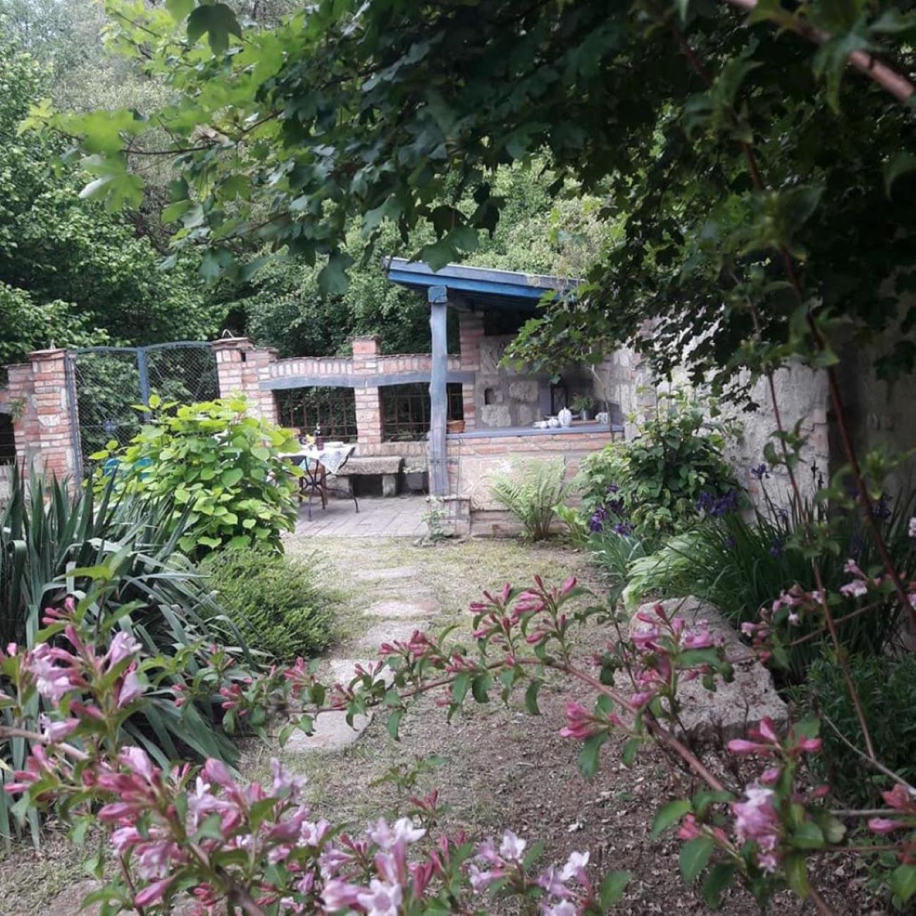 Photo 23