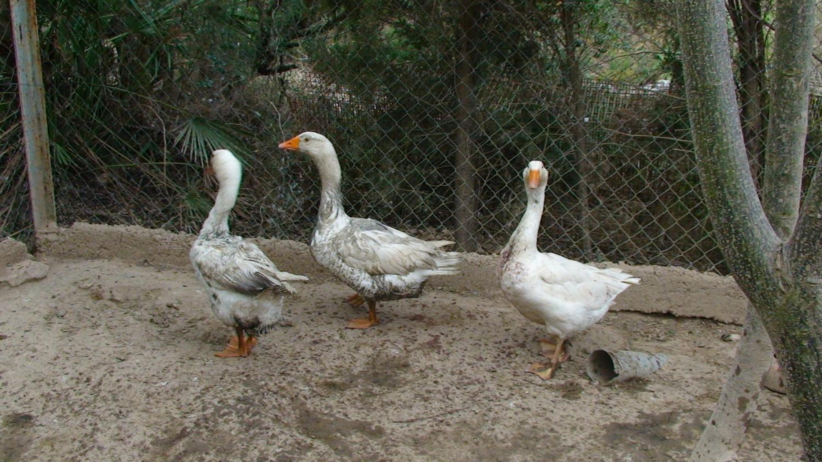 Photo 28
