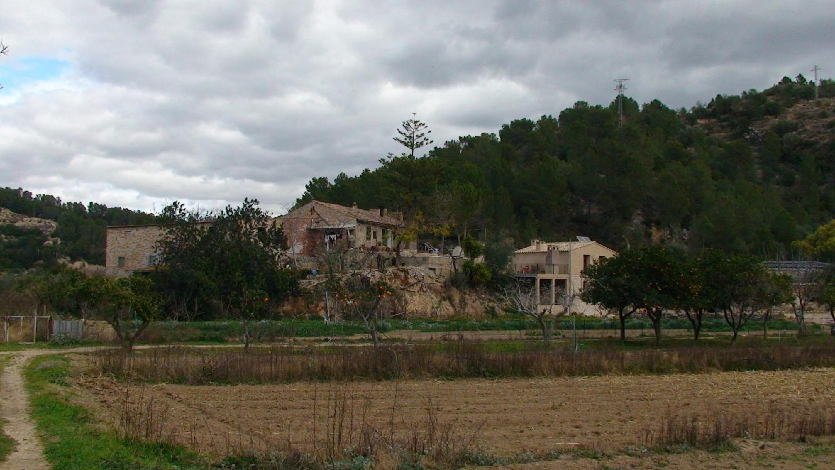 Photo 8