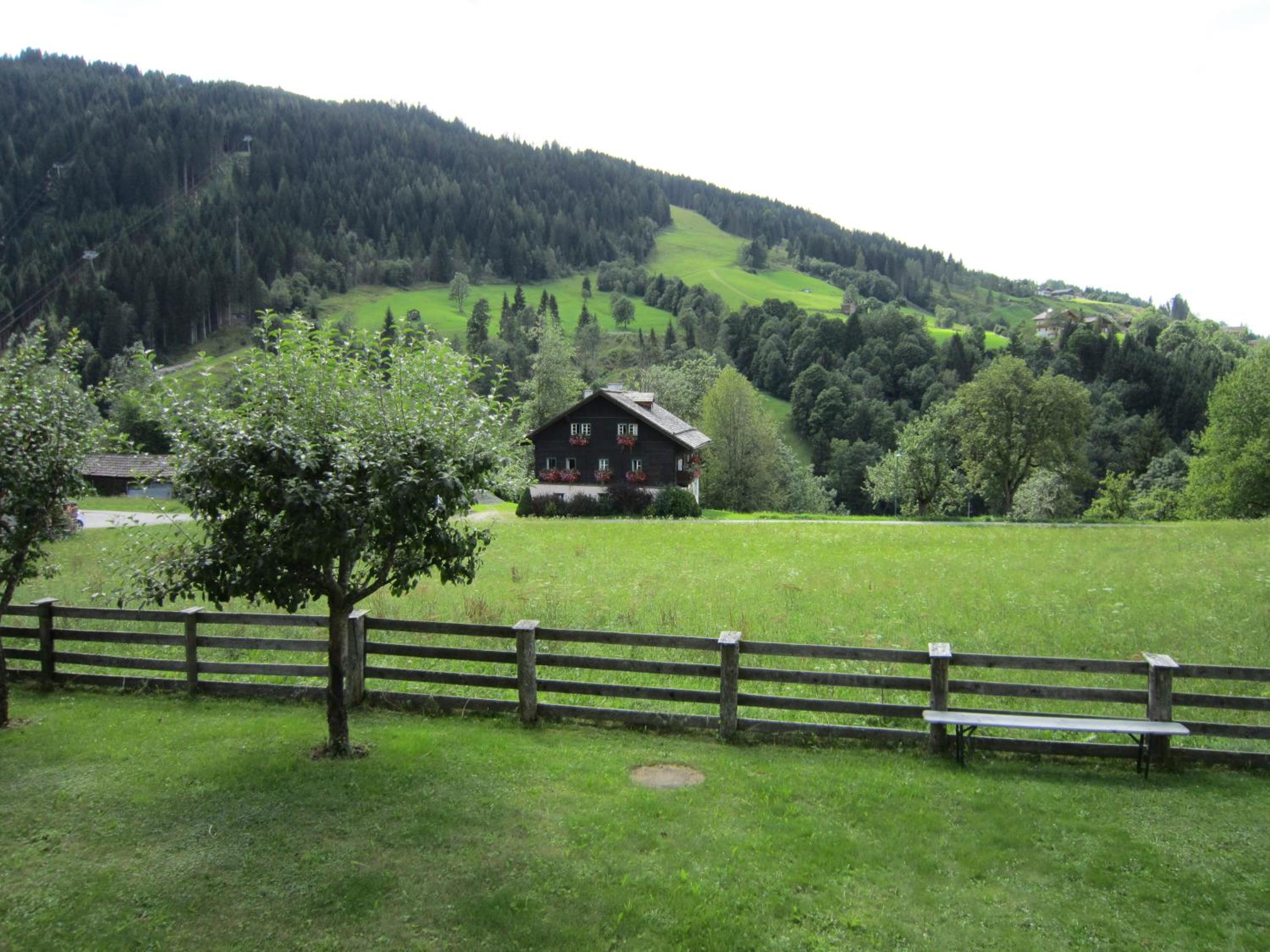 Photo 32