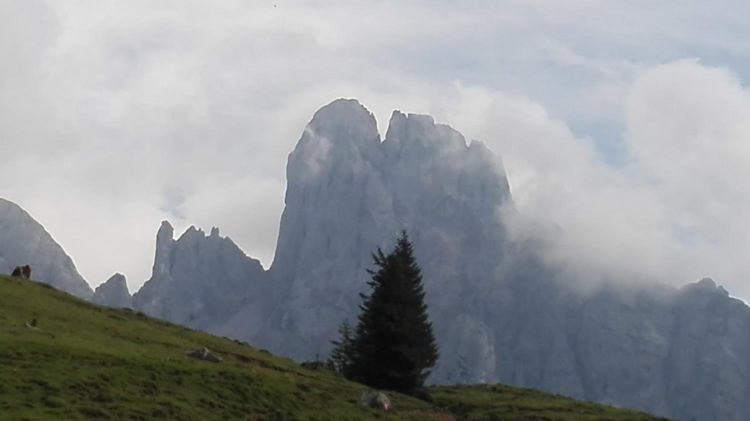 Ferienwohnung Donnerkogel