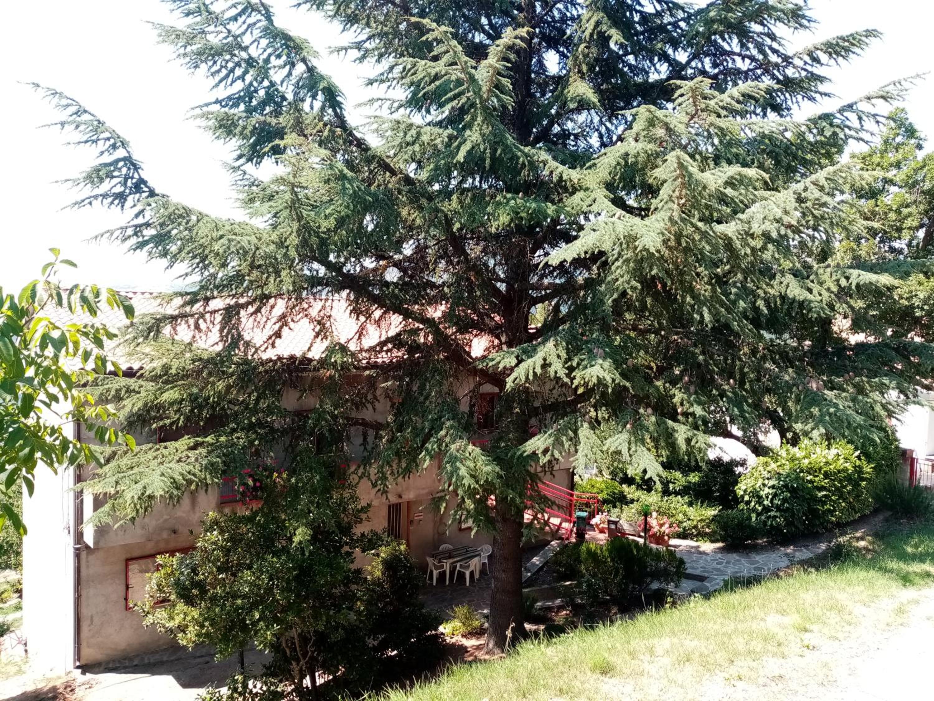 Casa Vacanza Giardino