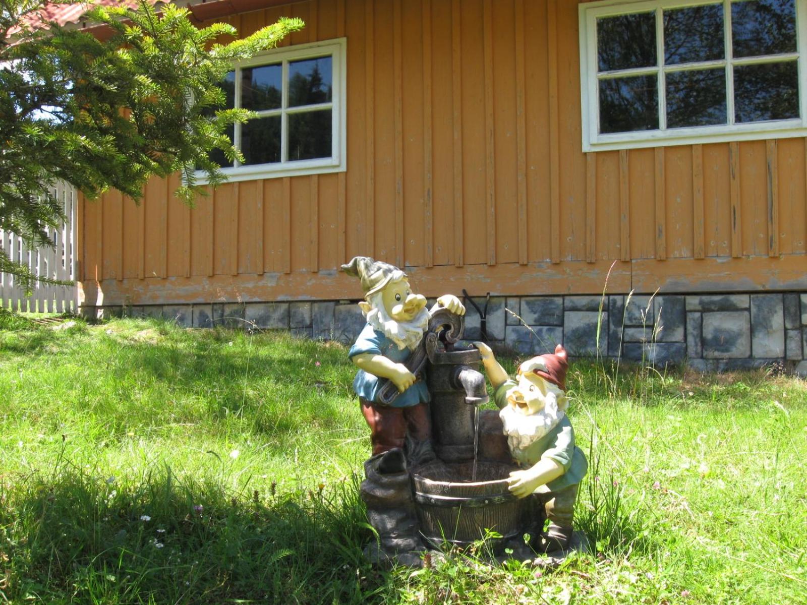 Photo 11