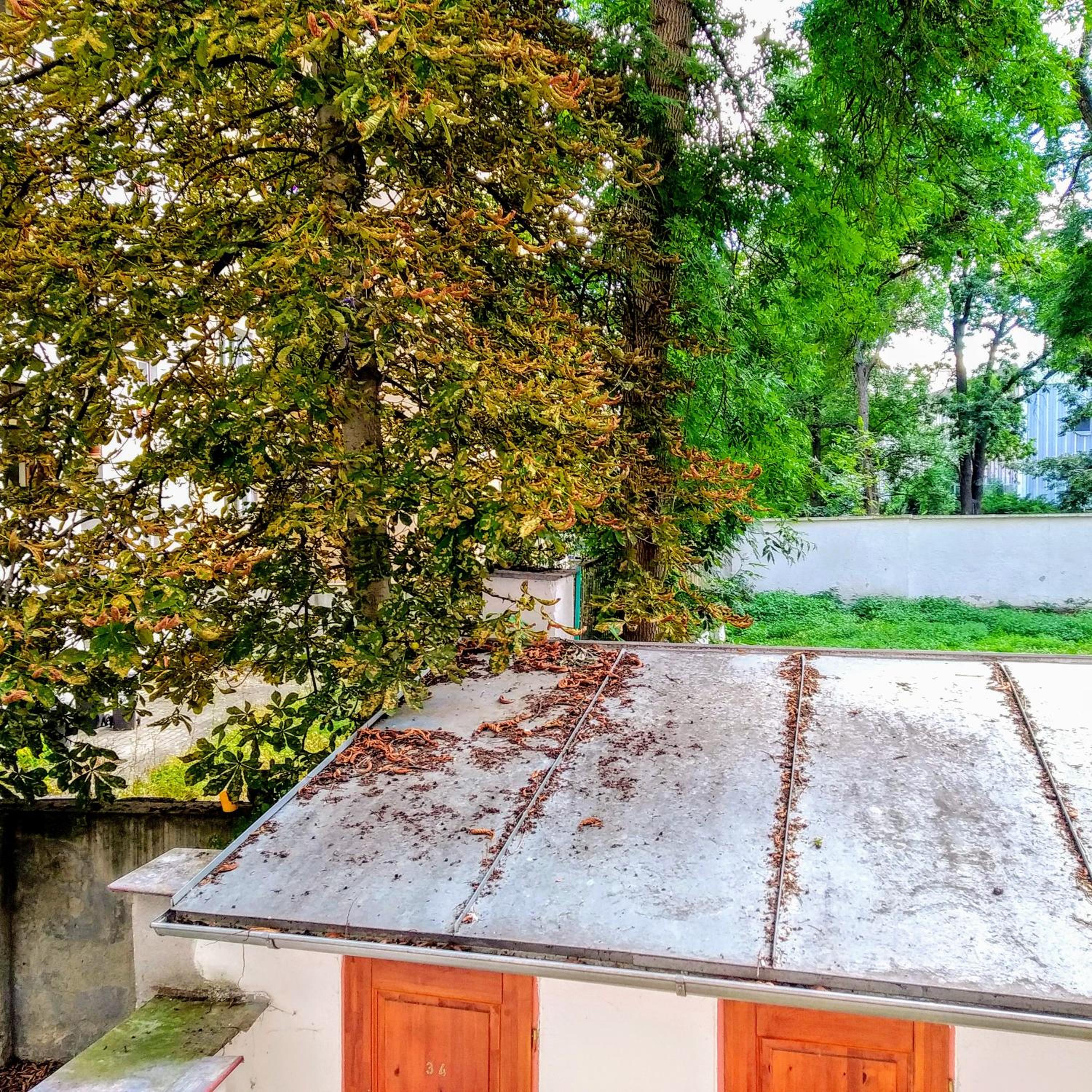 Apartment Sense of Zizkov