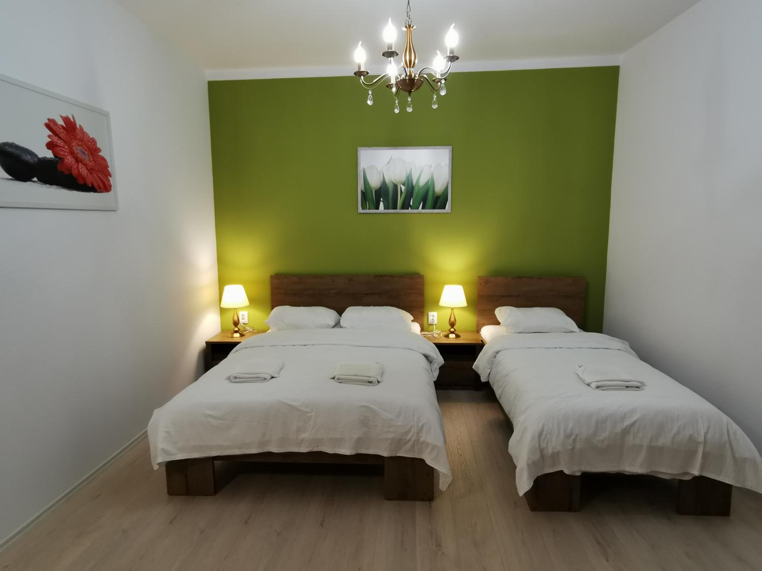 Ambient Thermal Apartman Gyula view 5