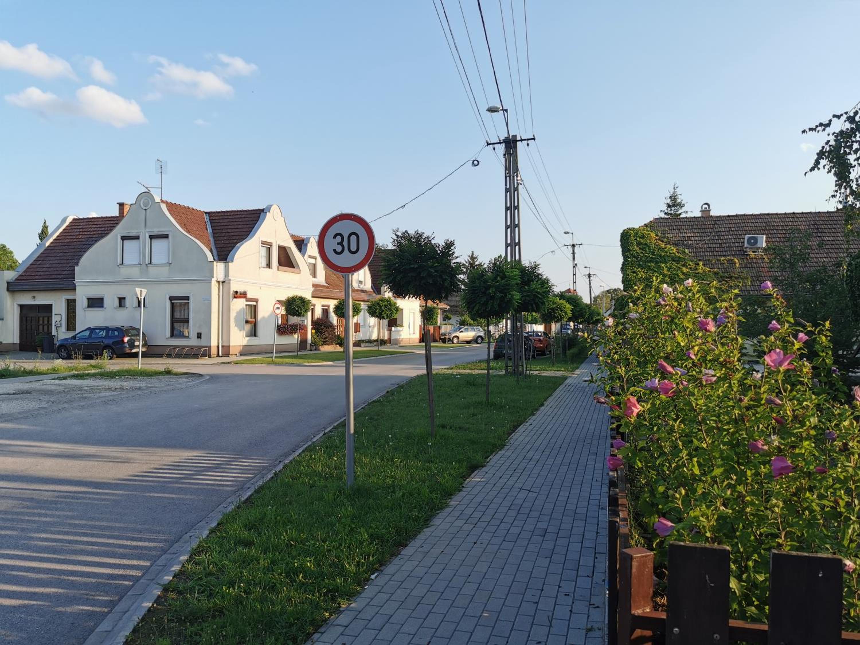 Photo 41