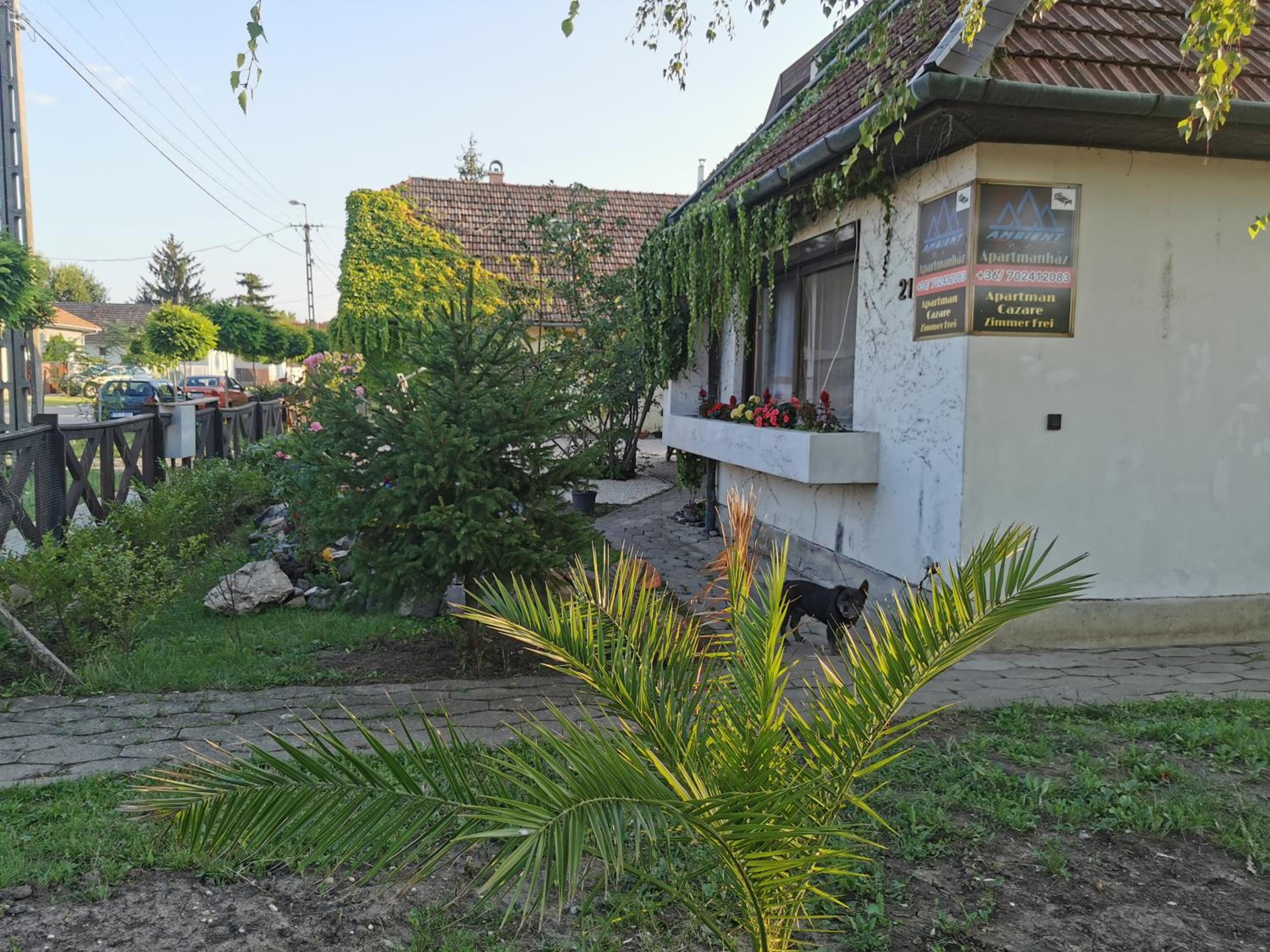 Photo 44