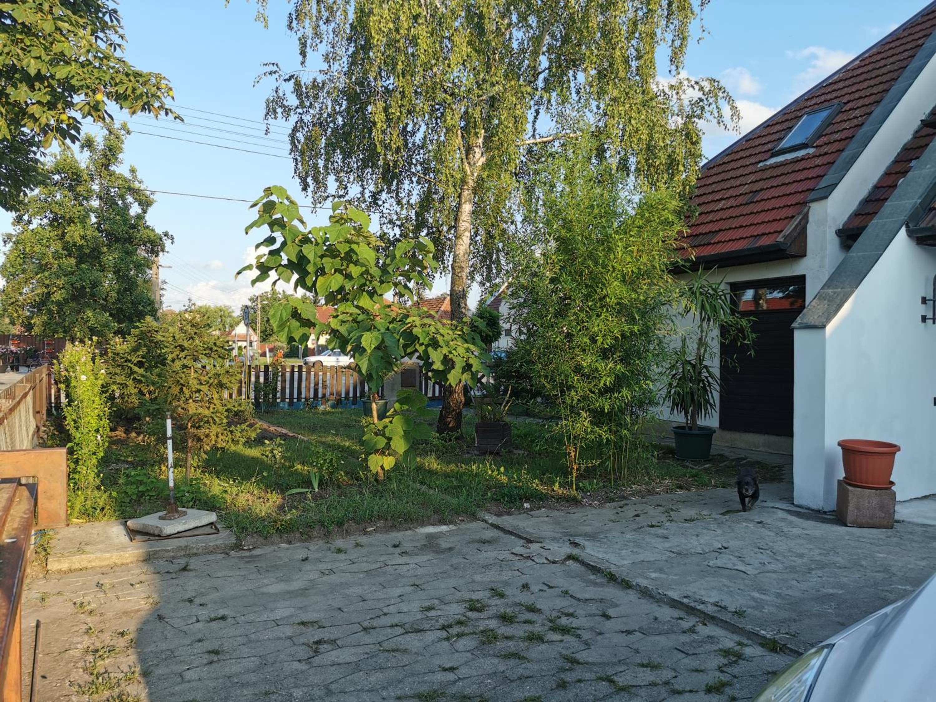 Photo 45