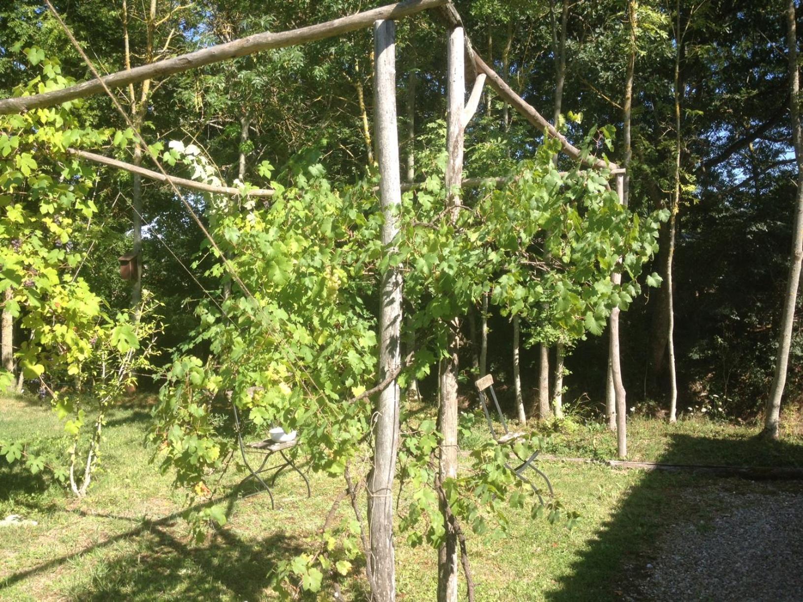 Photo 21
