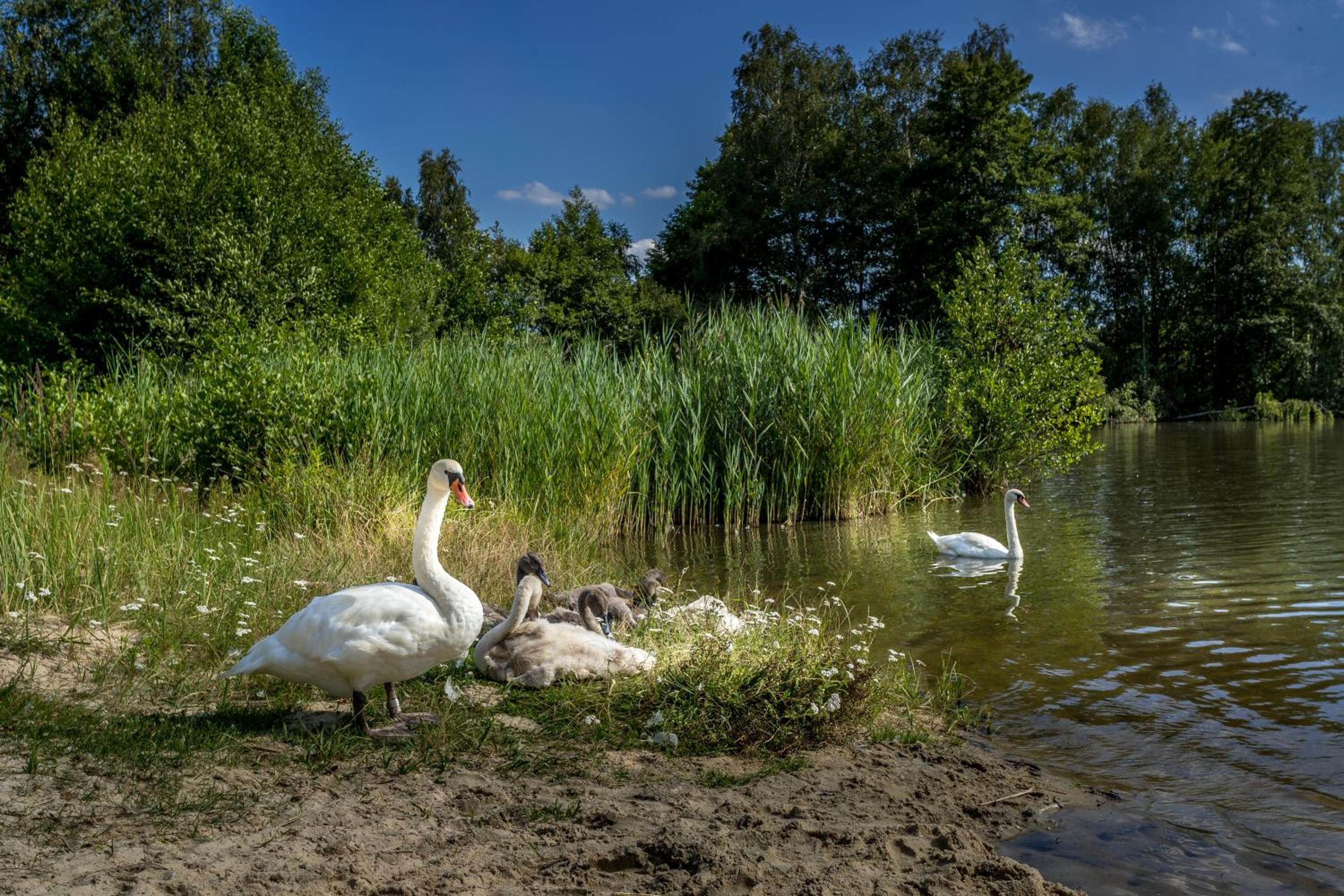 Apartmány Poslův Mlýn