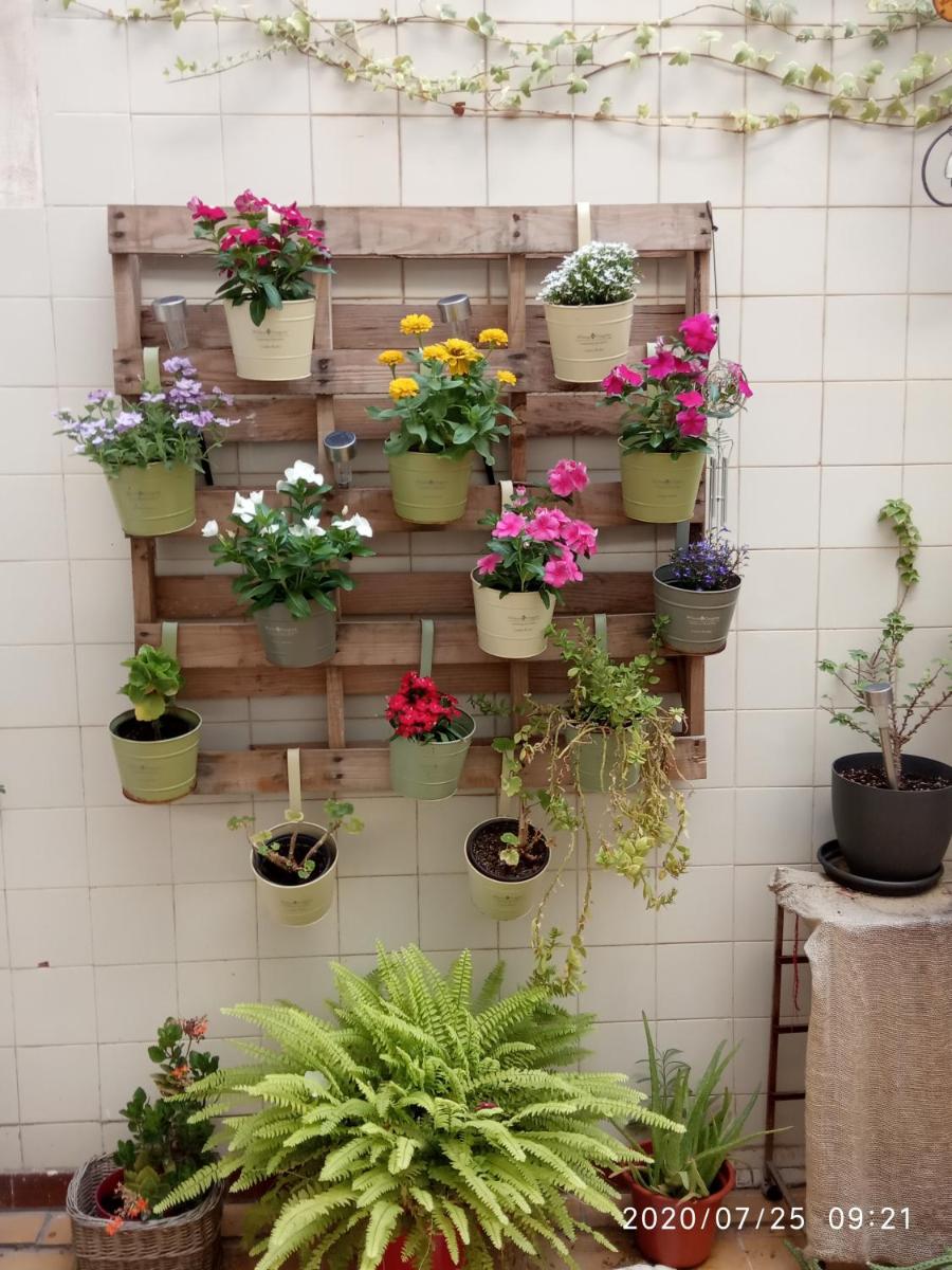 Como en casa photo 3