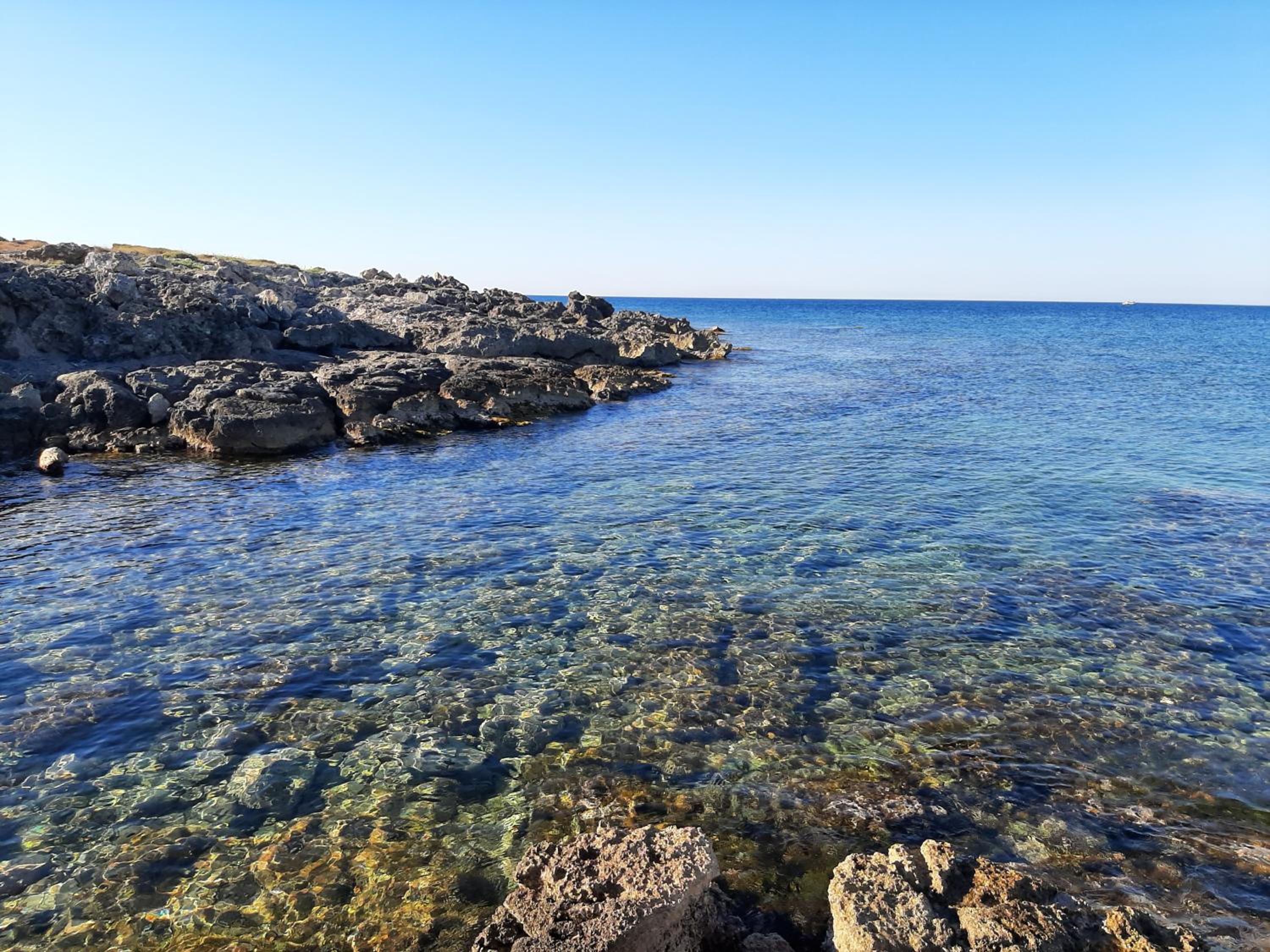 La Maison Blue a 100 mt dal mare - holiday2pet,com -