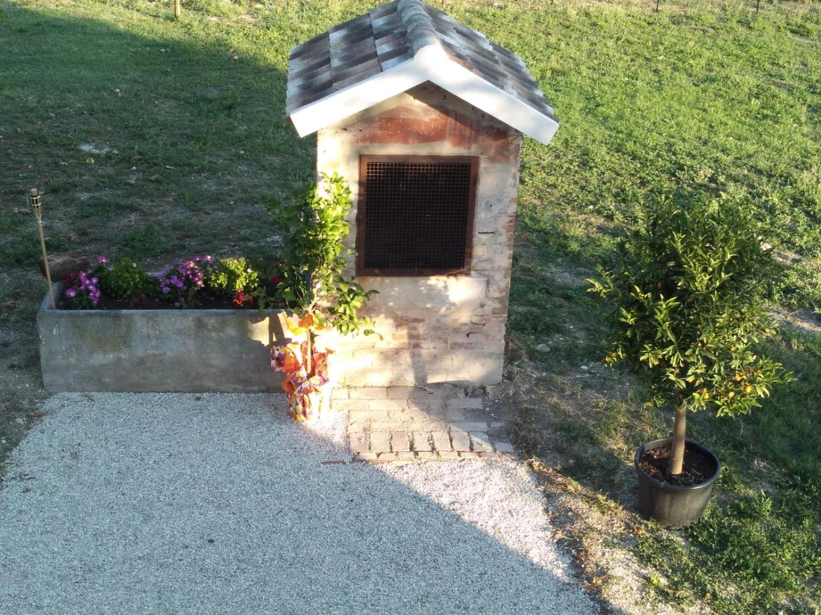Photo 10