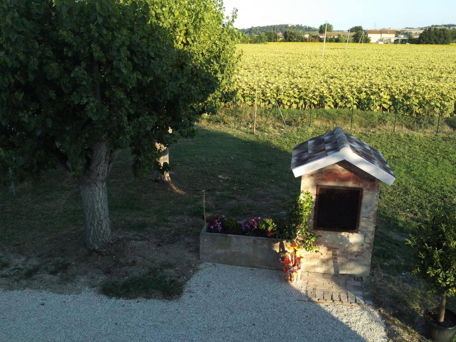 Photo 11