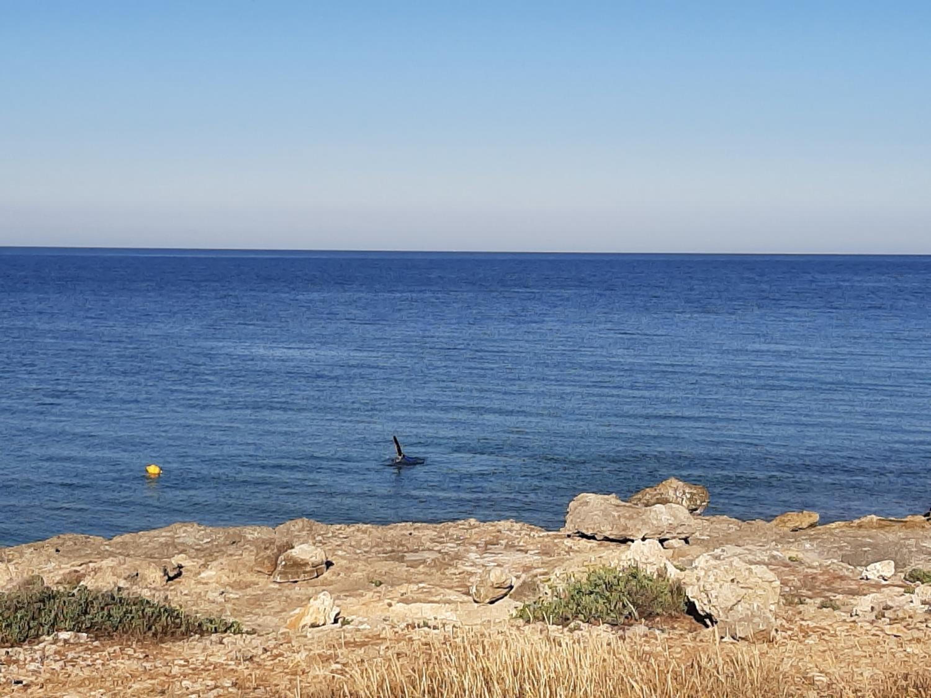 La Maison Blue a 100 mt dal mare - holiday2pet,com -