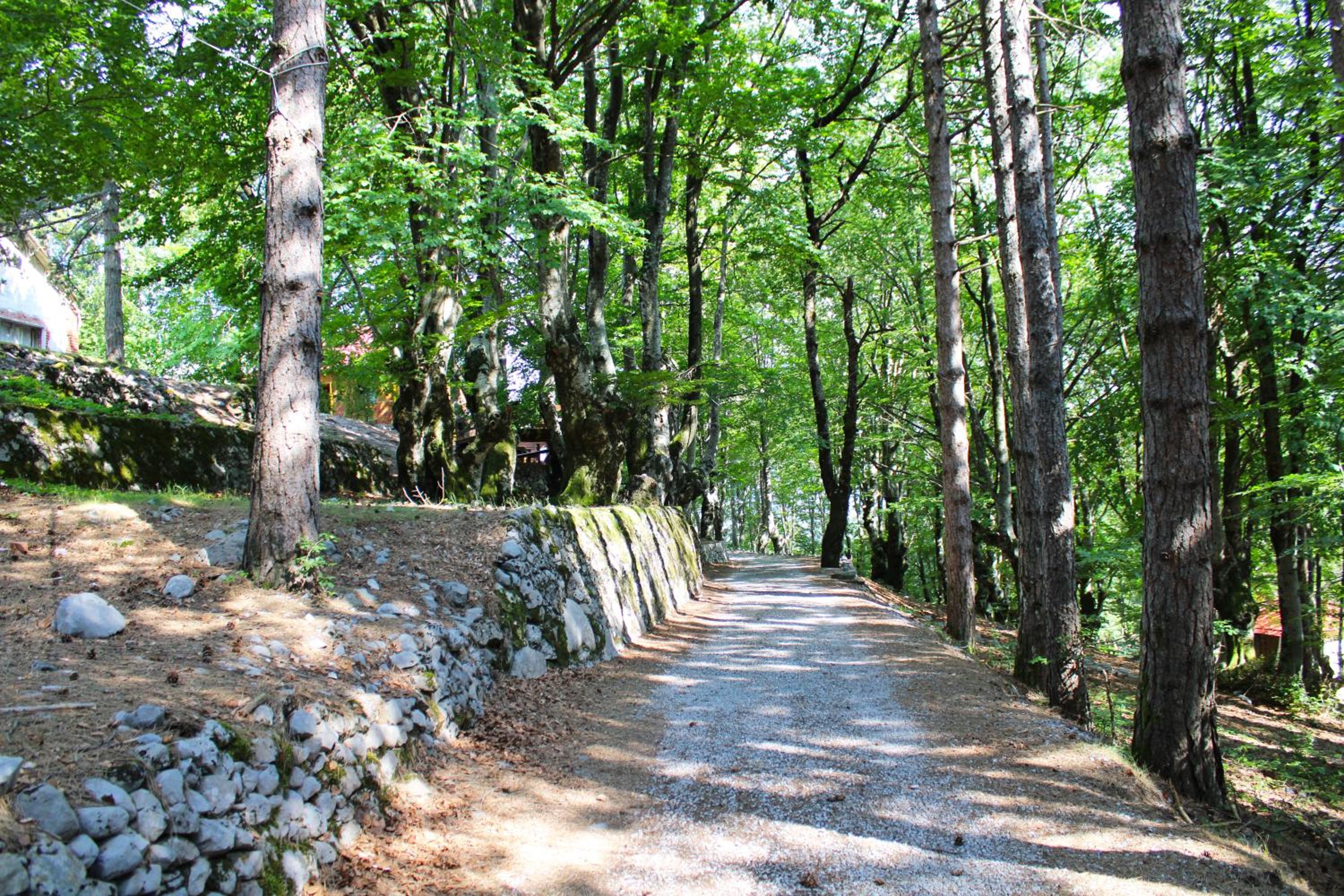 Natyral Razma Resort