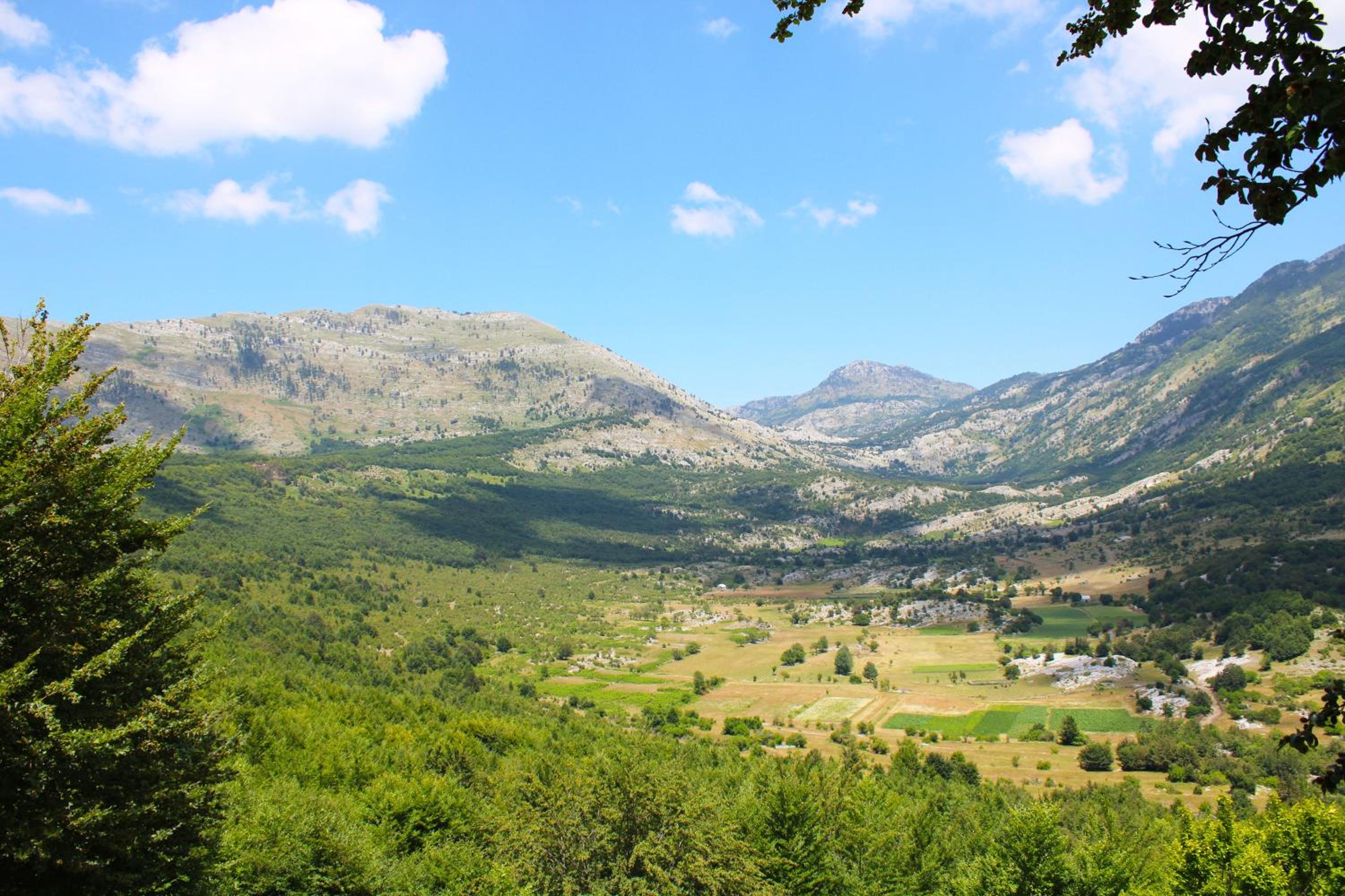 Natyral Razma Resort