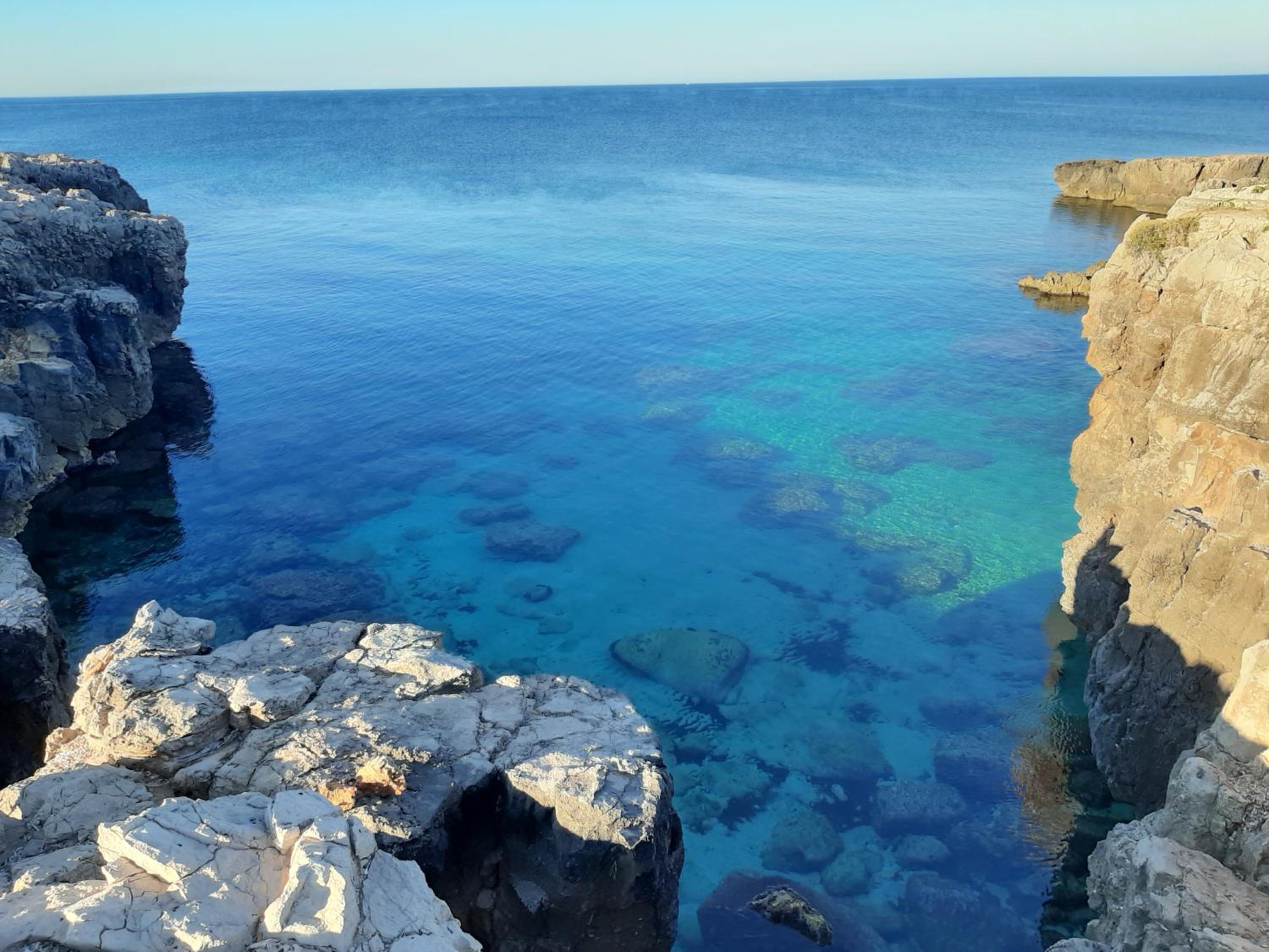 La Maison Blue a 100 mt dal mare - holiday2pet,com -