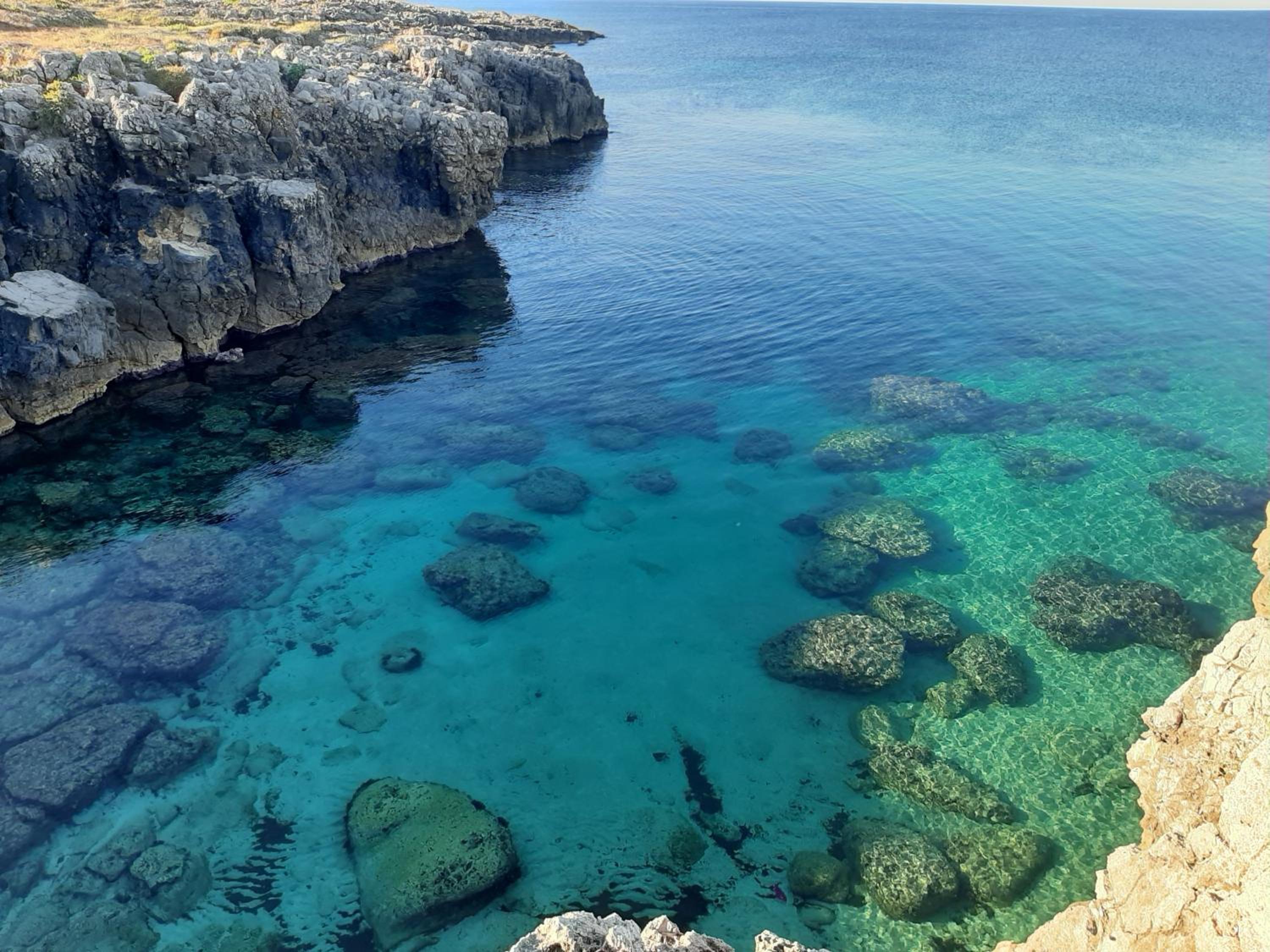 La Maison Blue a 100 mt dal mare - holiday2pet,com -