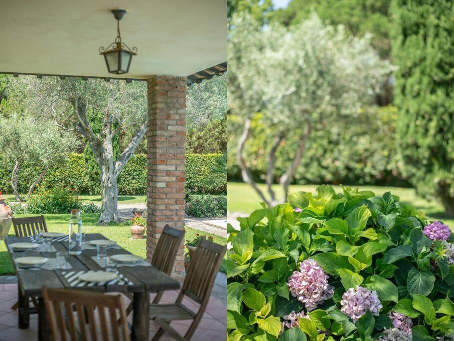 Villaflair - Cottage Orbetello photo 3