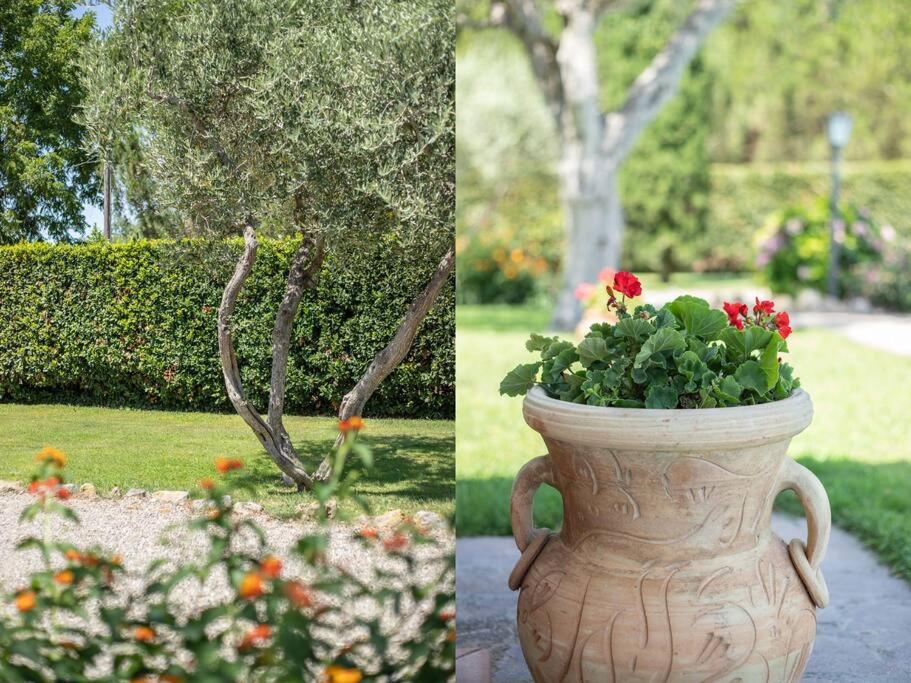Villaflair - Cottage Orbetello photo 5