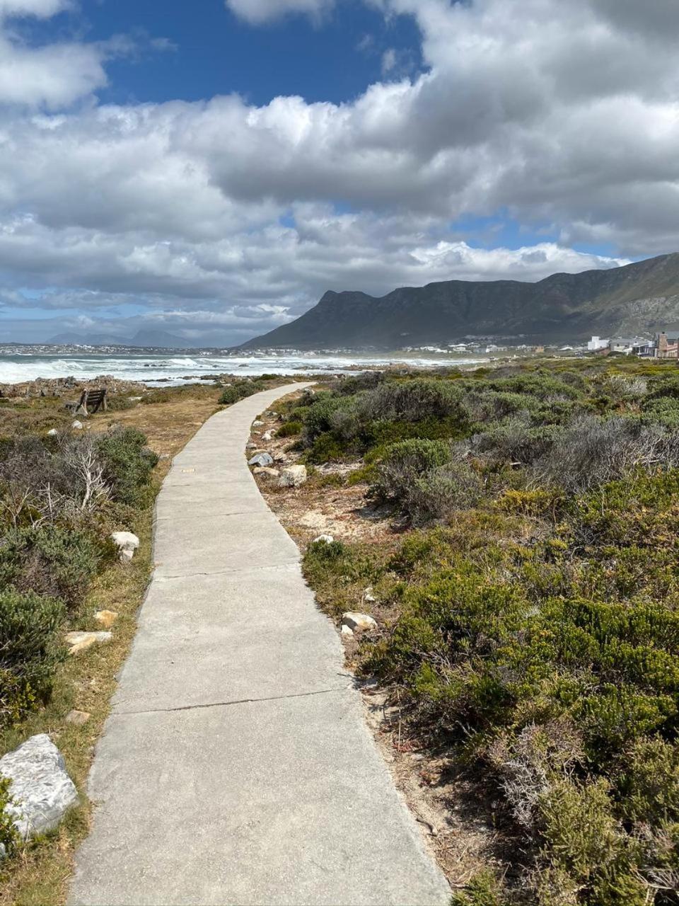 Hermanus Vacations - Shore's Edge Luxury Oceanfront Home - Property Image 25