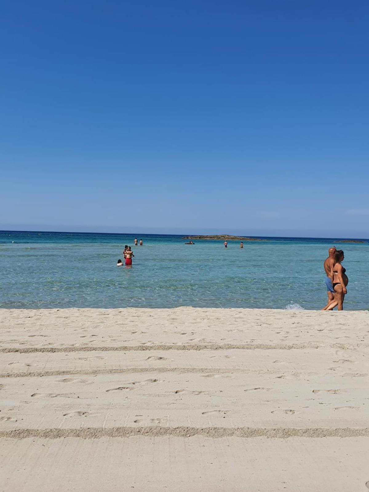 La Maison Blue a 100 mt dal mare - holiday2pet,com -