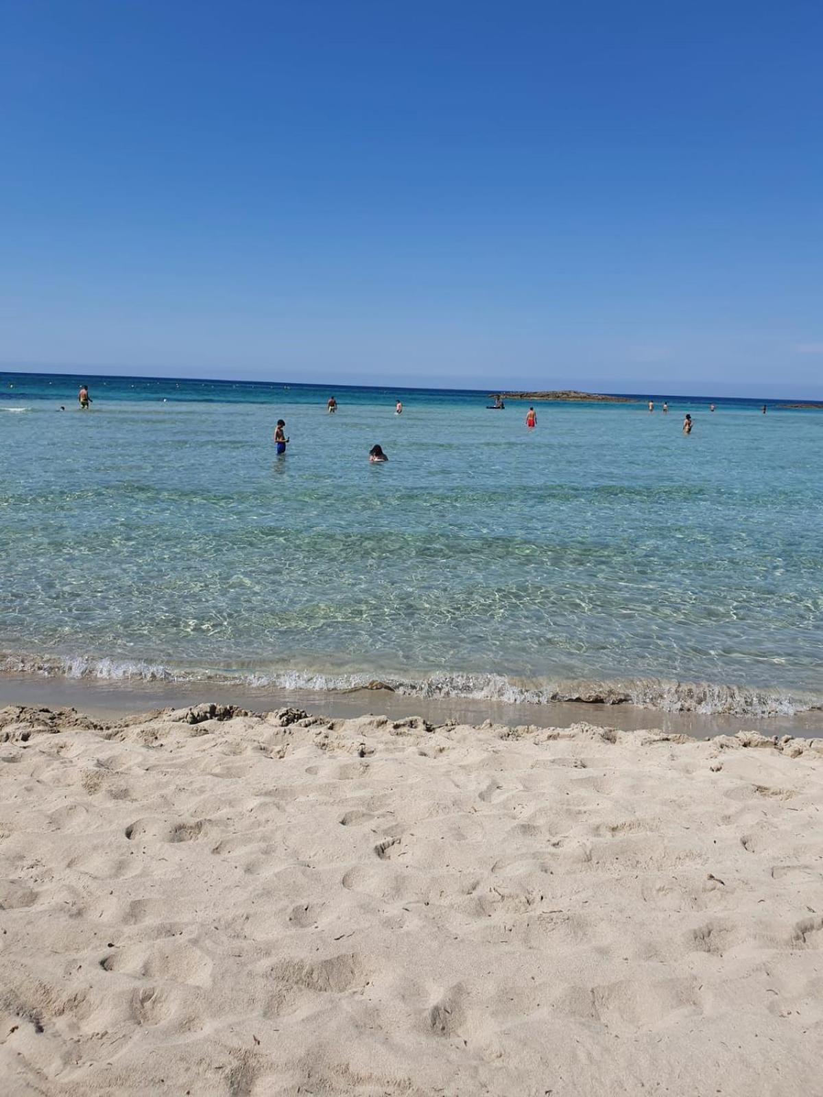 La Maison Blue a 100 mt dal mare - holiday2pet,com -