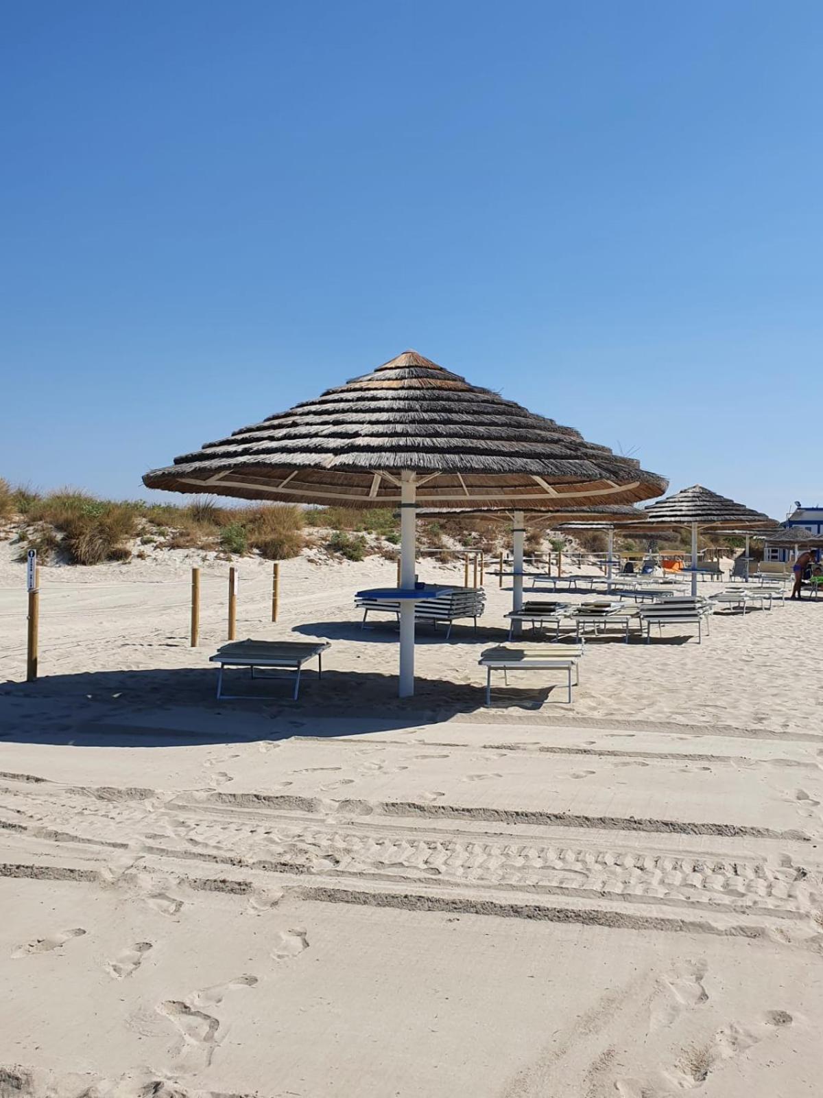 La Maison Blue a 100 mt dal mare - holiday2pet,com -