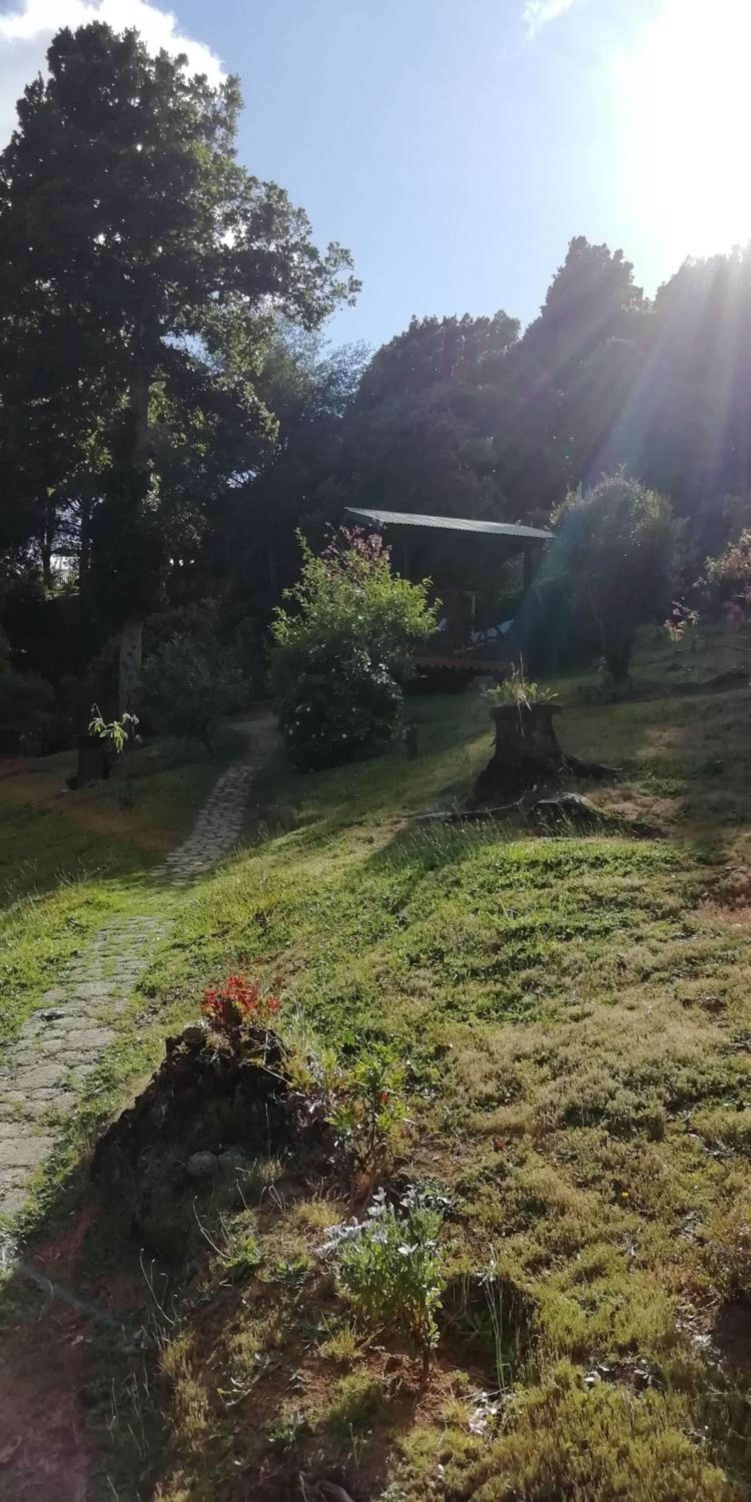 Miriam'S Quetzals lodge