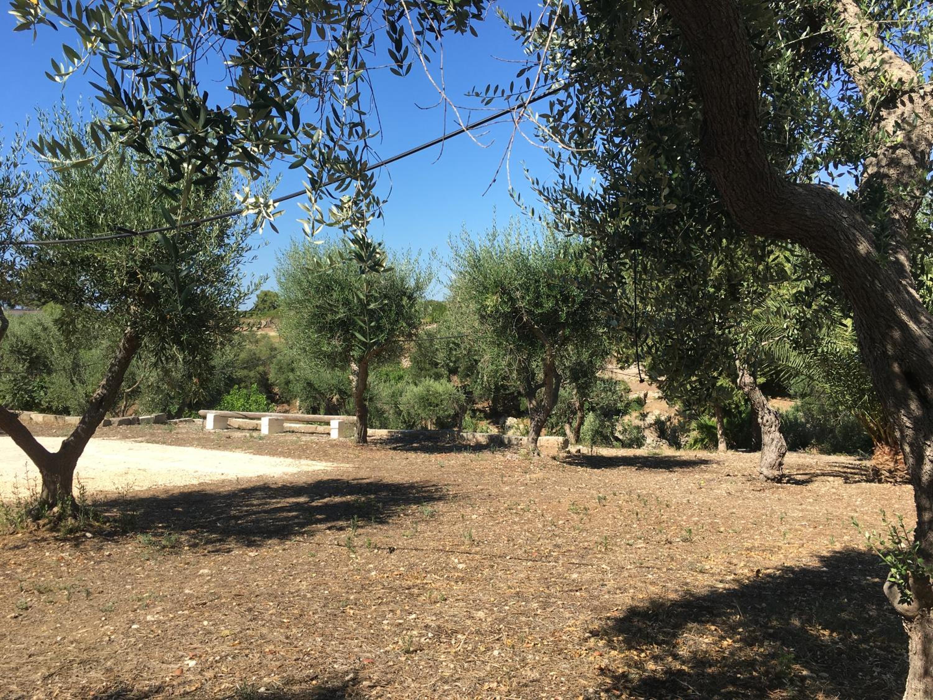 Photo 46