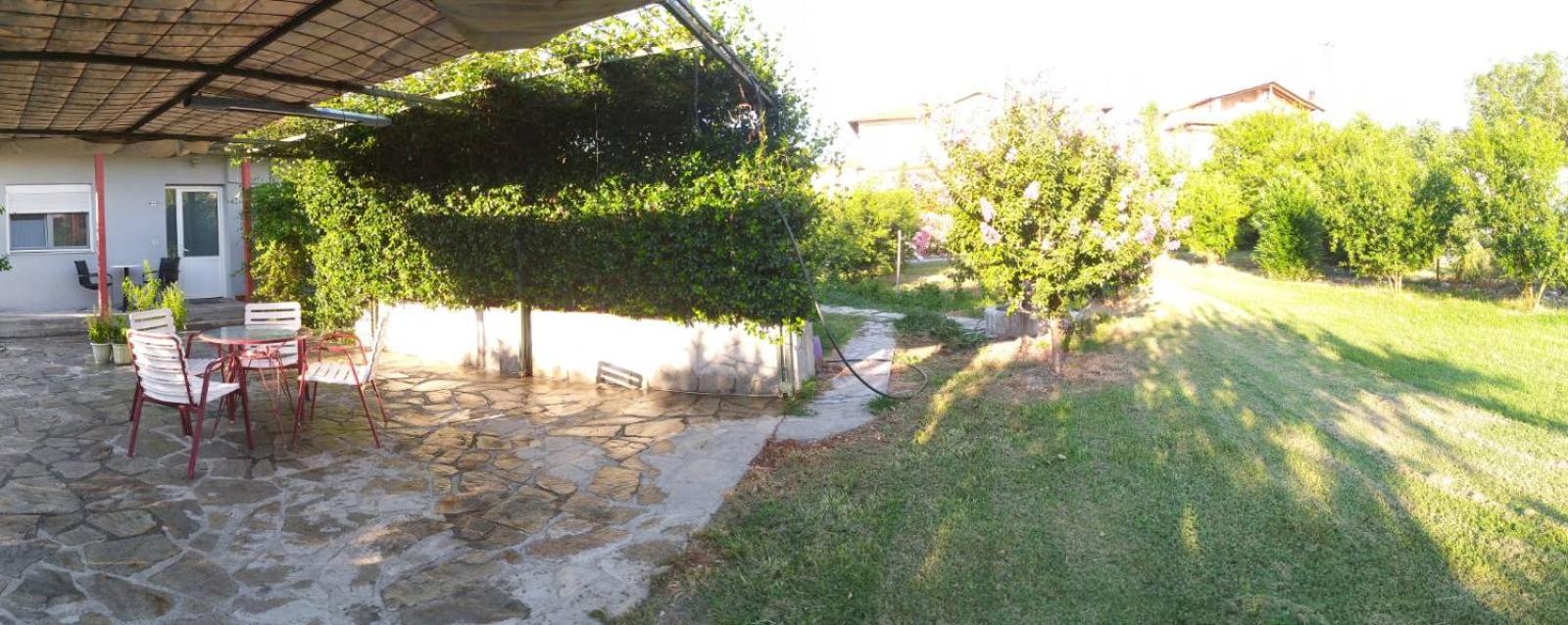 Photo 38
